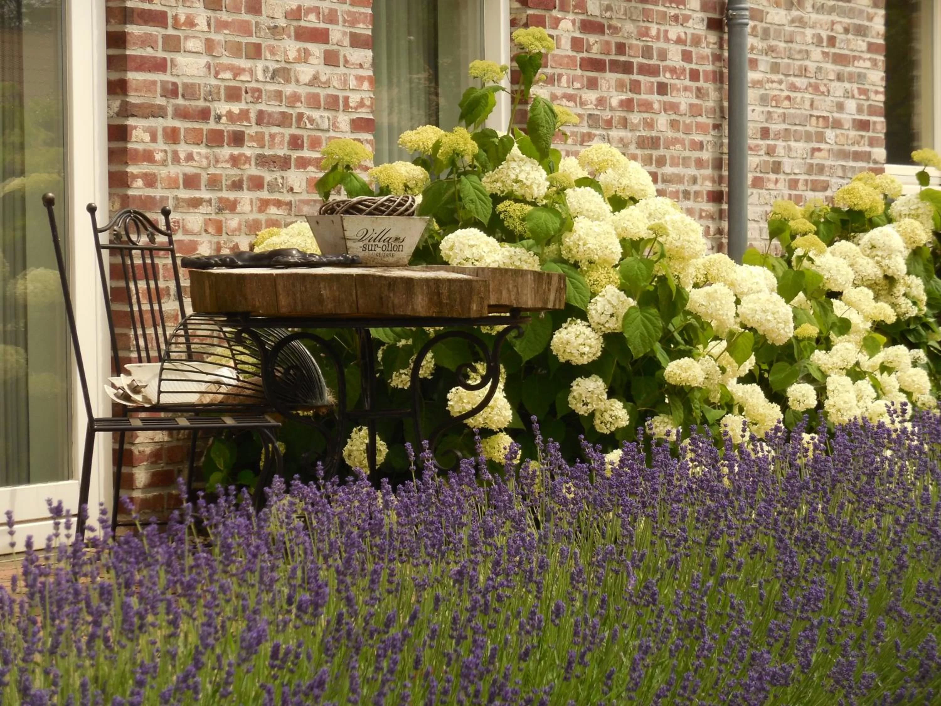 Garden in B & B " De 7 Sprong "