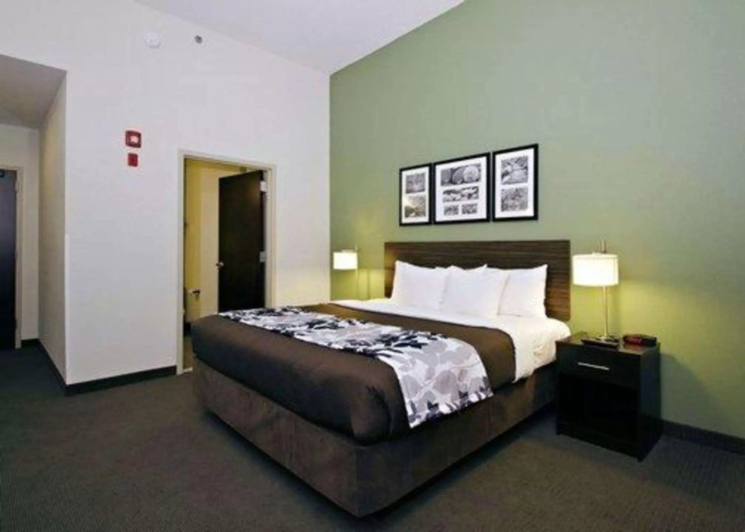 Photo of the whole room, Bed in Sleep Inn & Suites Downtown Inner Harbor