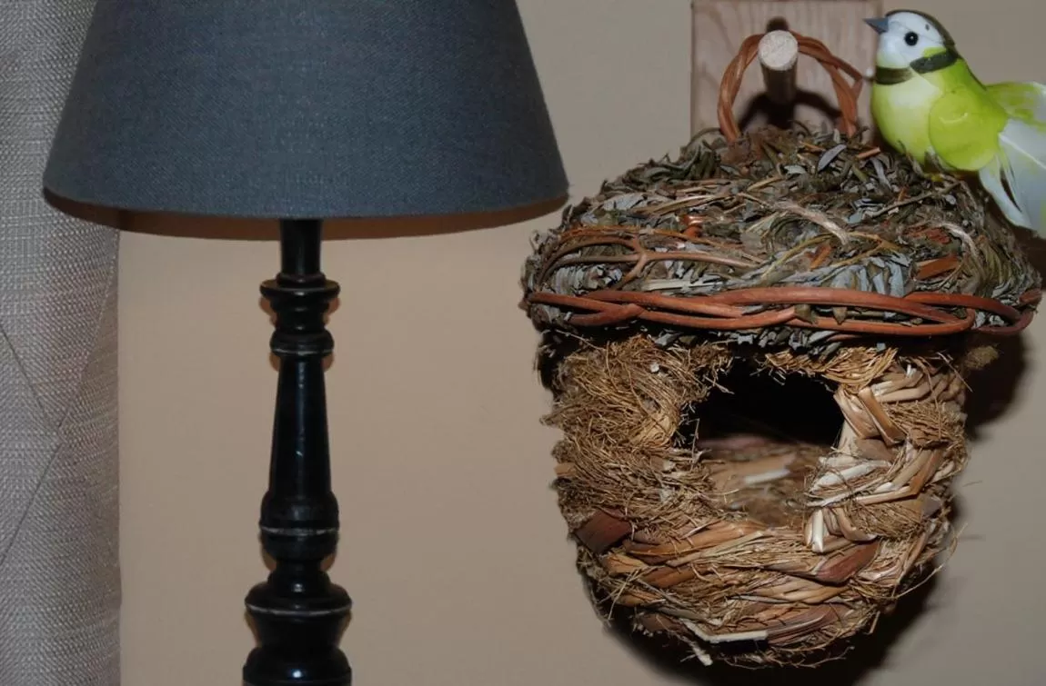 Decorative detail in Bed en Breakfast VerdeSud