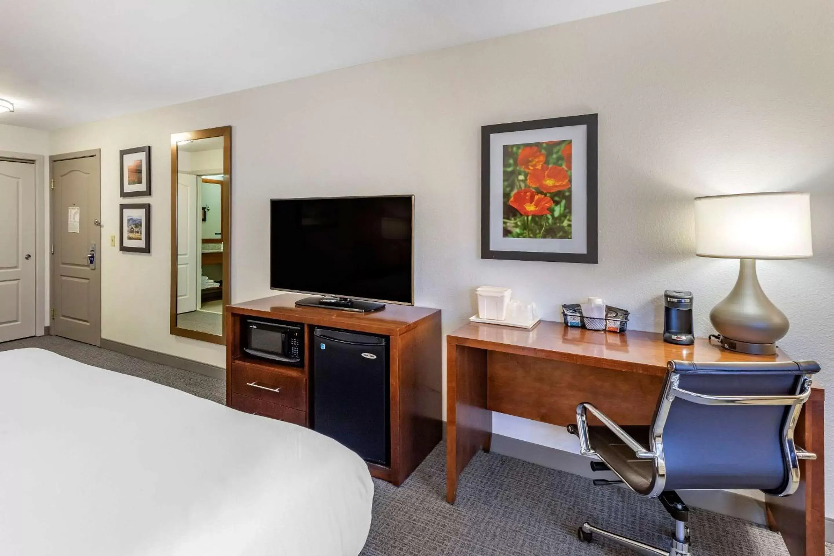 Photo of the whole room, TV/Entertainment Center in Comfort Inn & Suites Carbondale