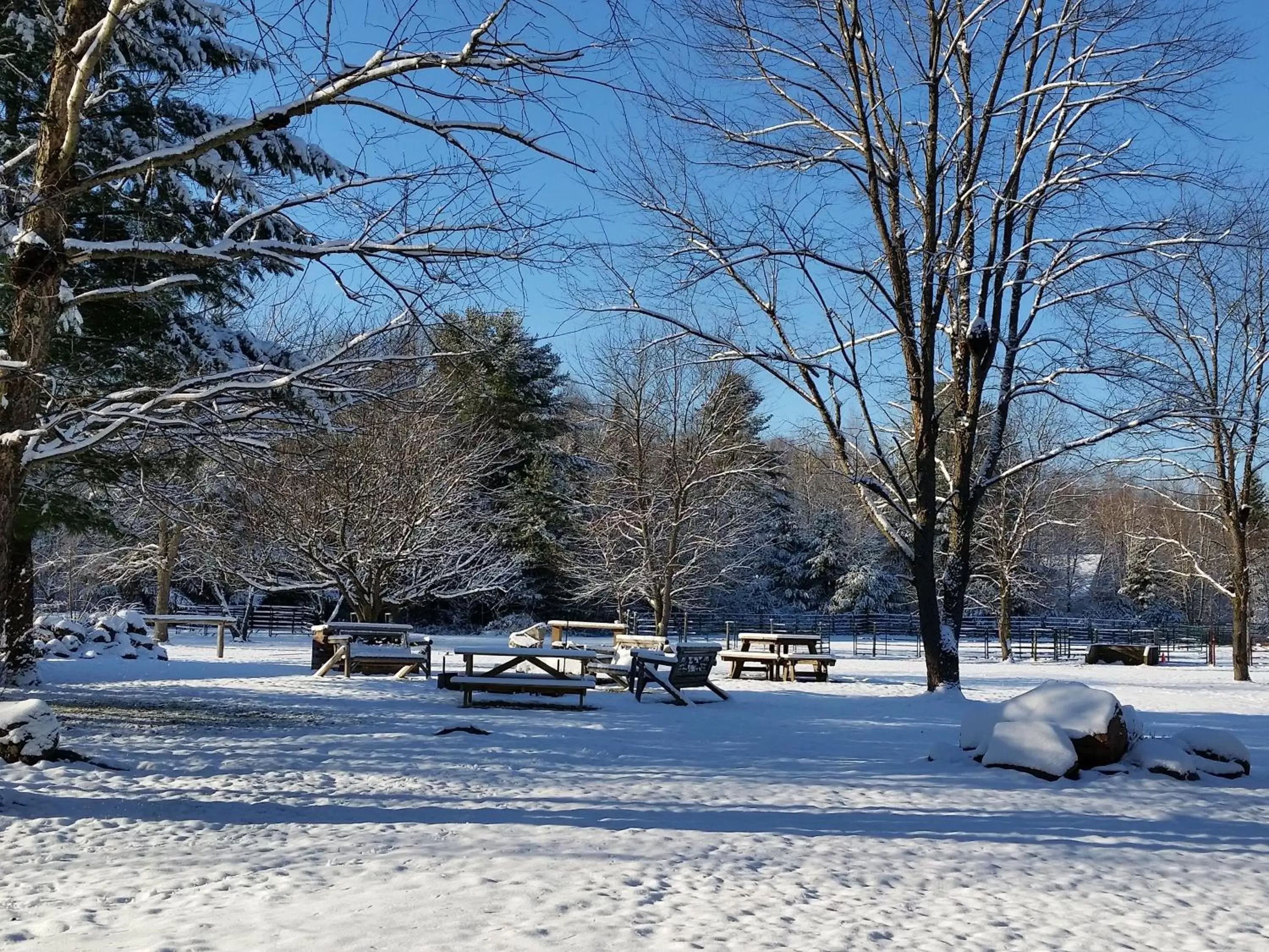 Natural landscape, Winter in Spur of the Moment Ranch