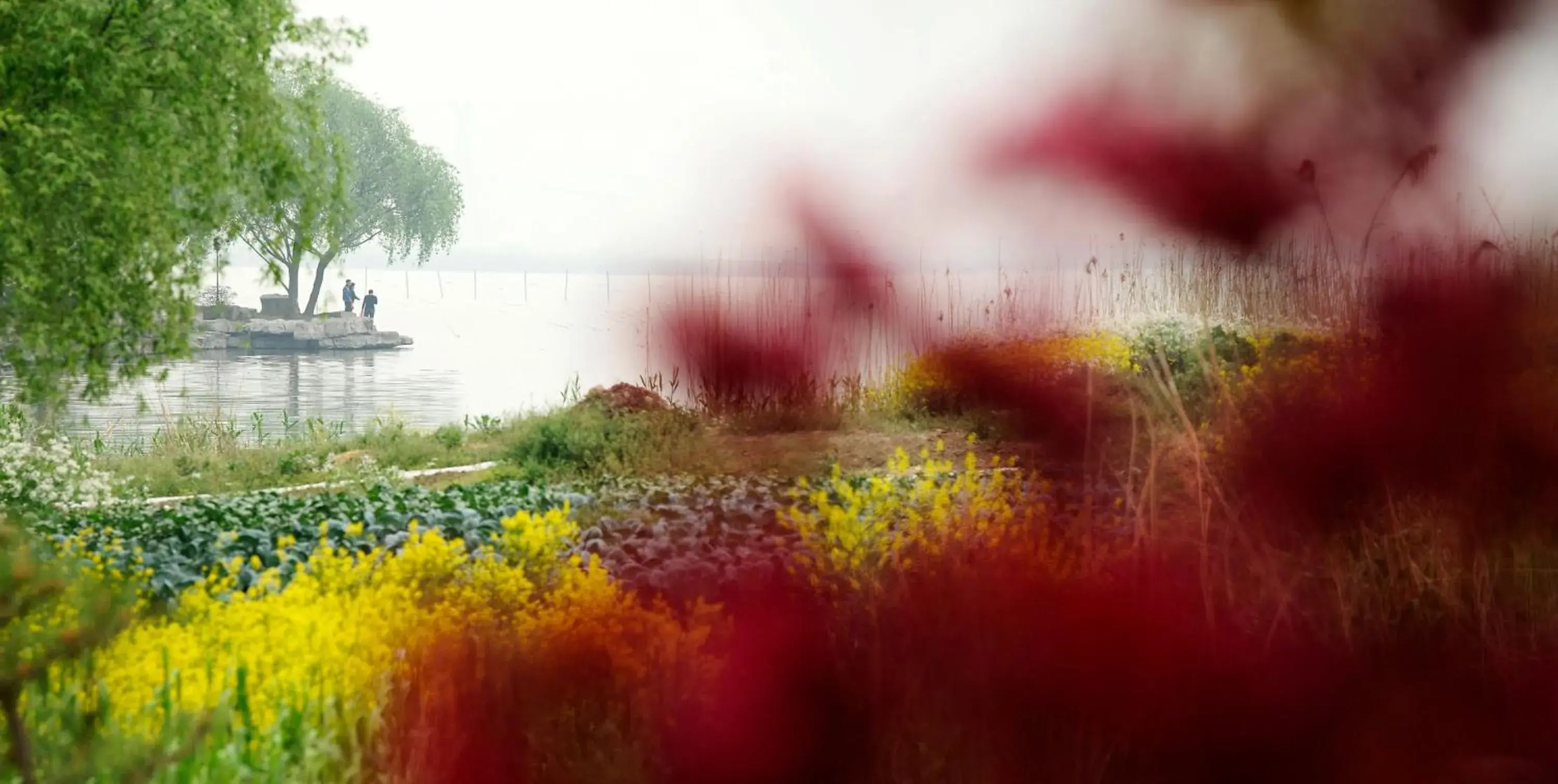 Natural Landscape in Tongli Lakeview Hotel