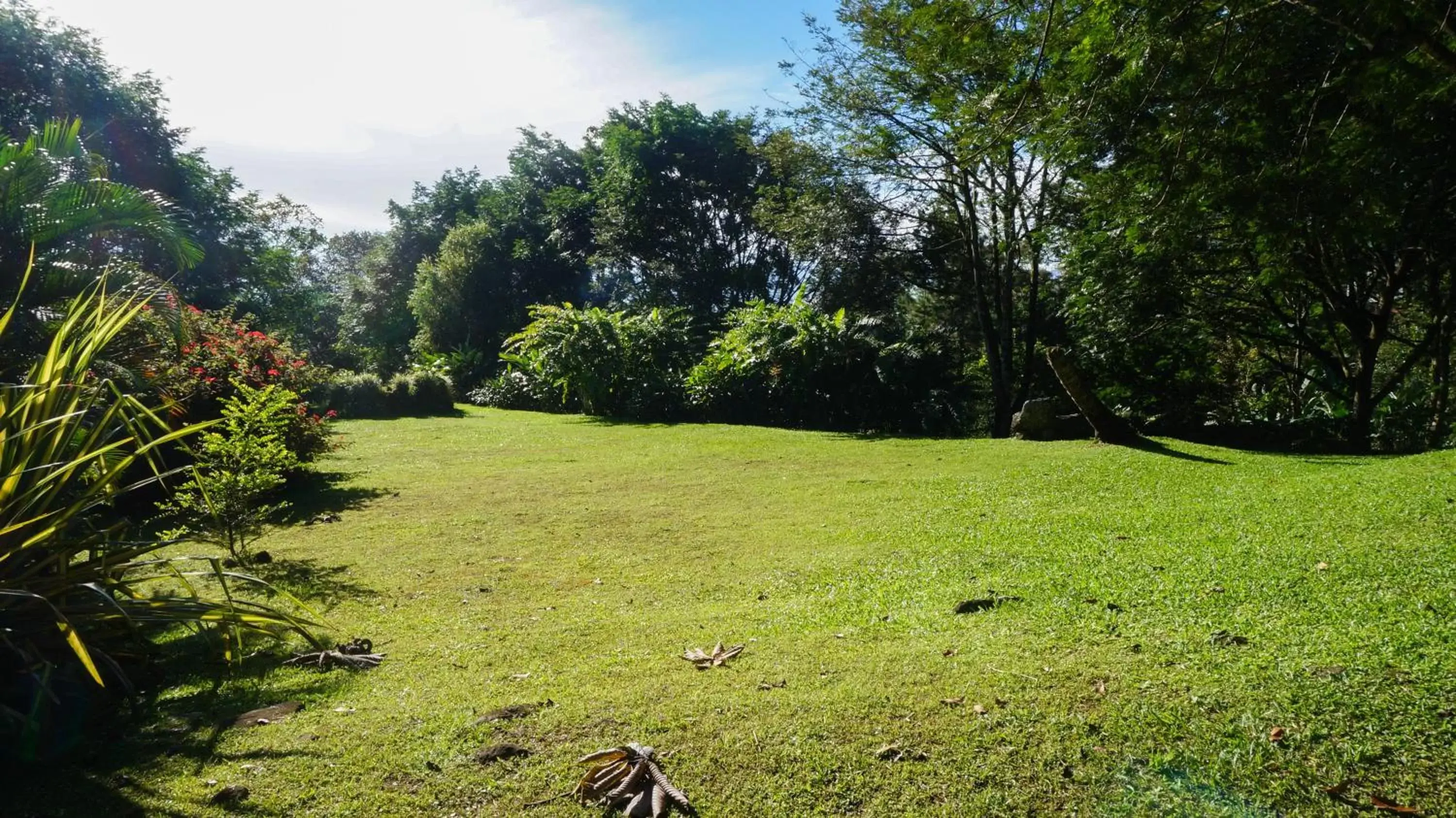 Garden in Hospedaje La Naciente