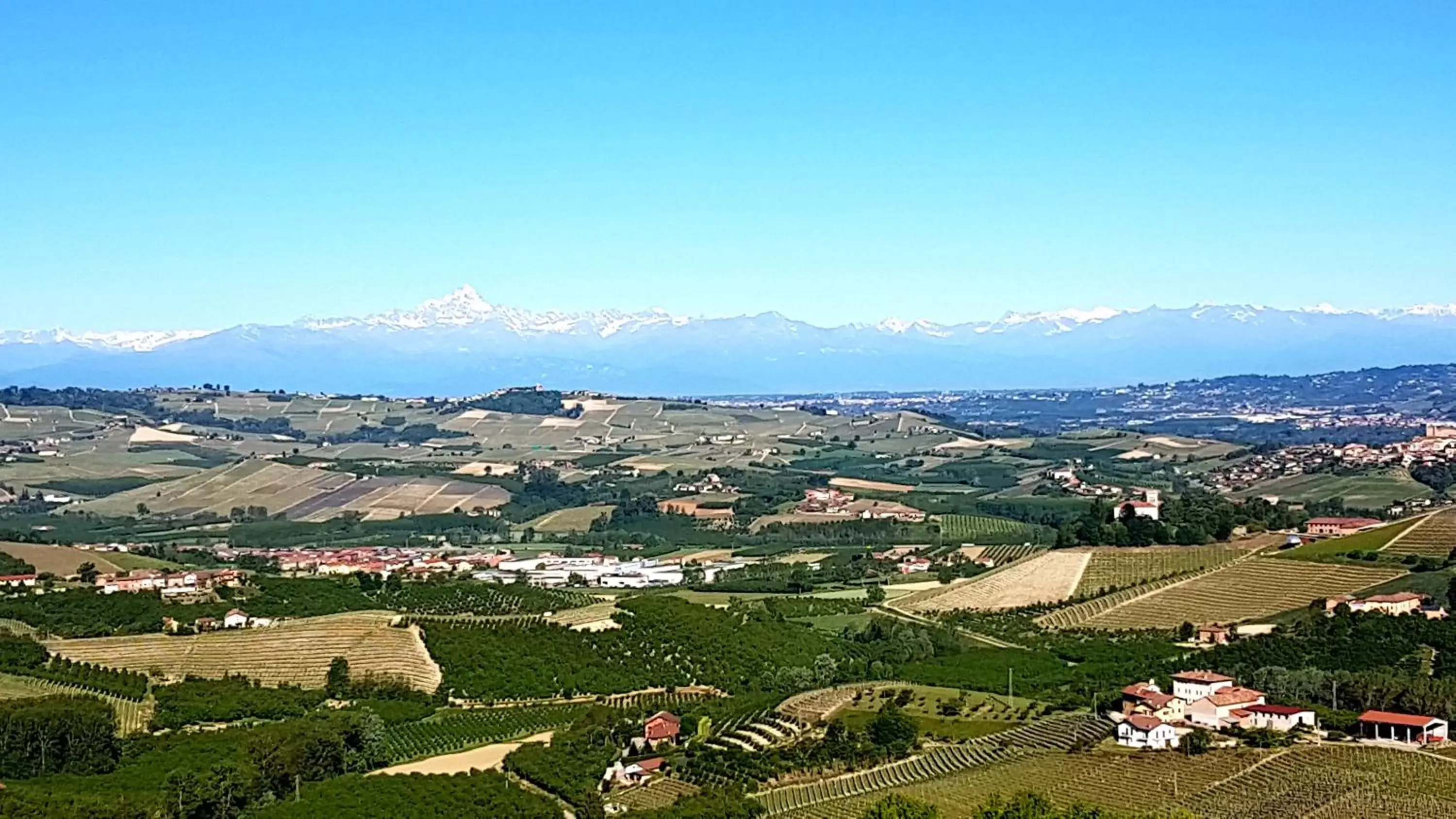 View (from property/room), Bird's-eye View in Villa Bellavista Alba, B&B