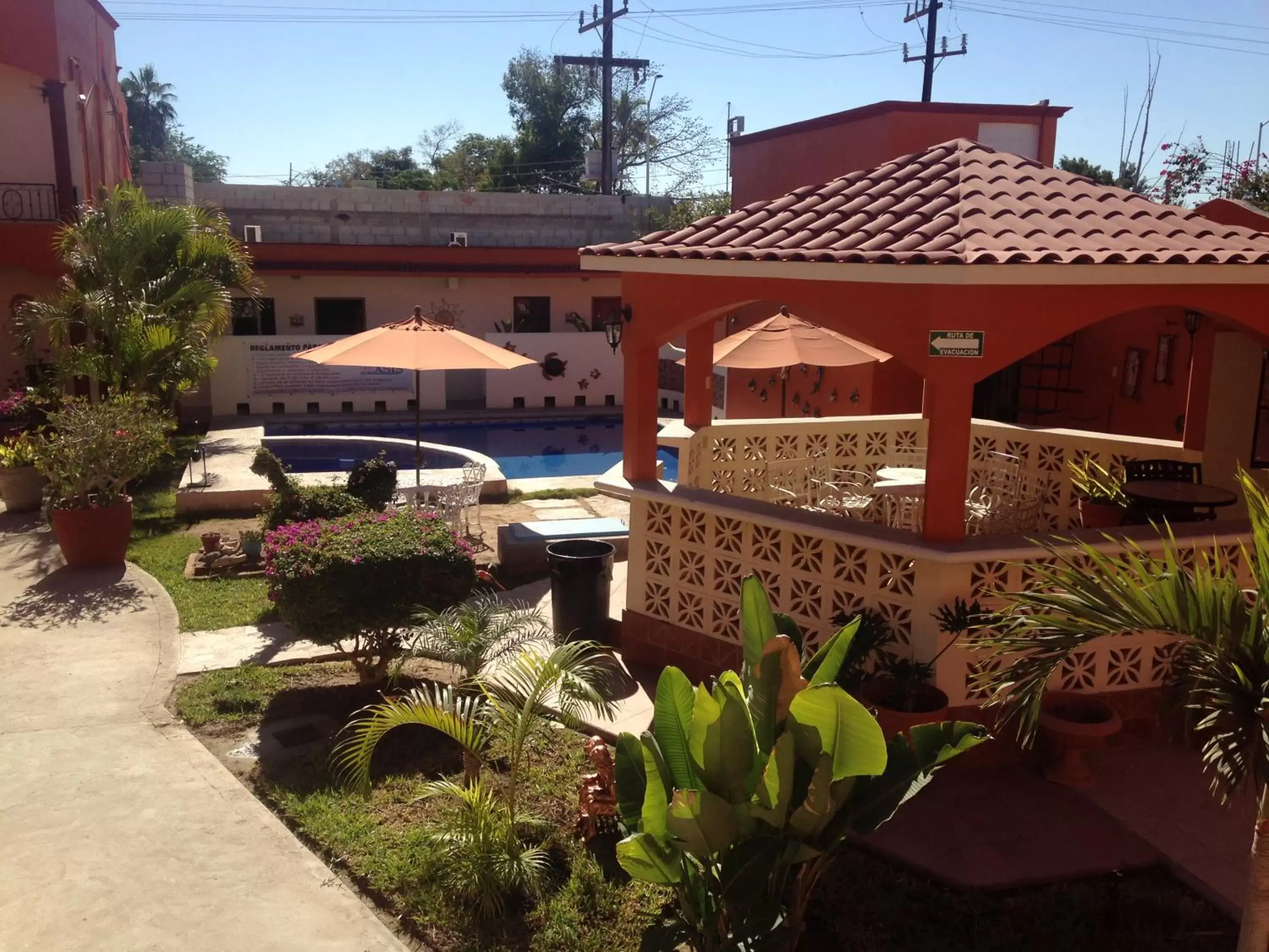 Garden in Hotel Oasis