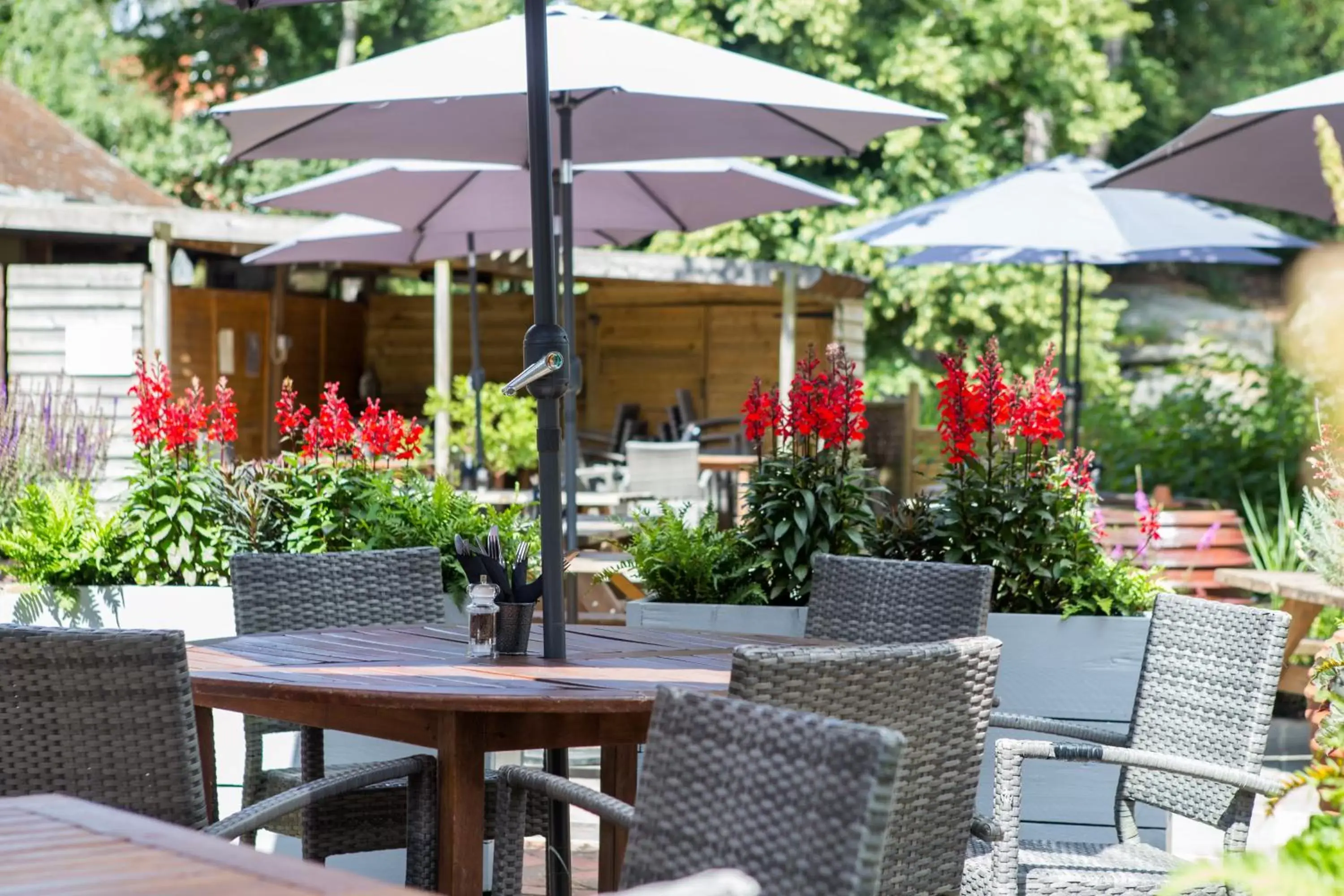 Patio in Mount Edgcumbe