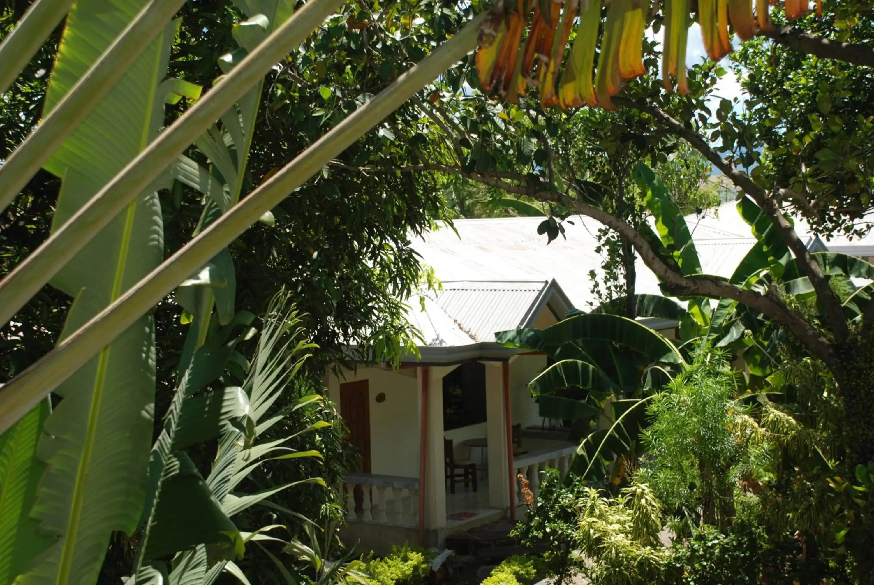 Property Building in Lapu-Lapu Cottages