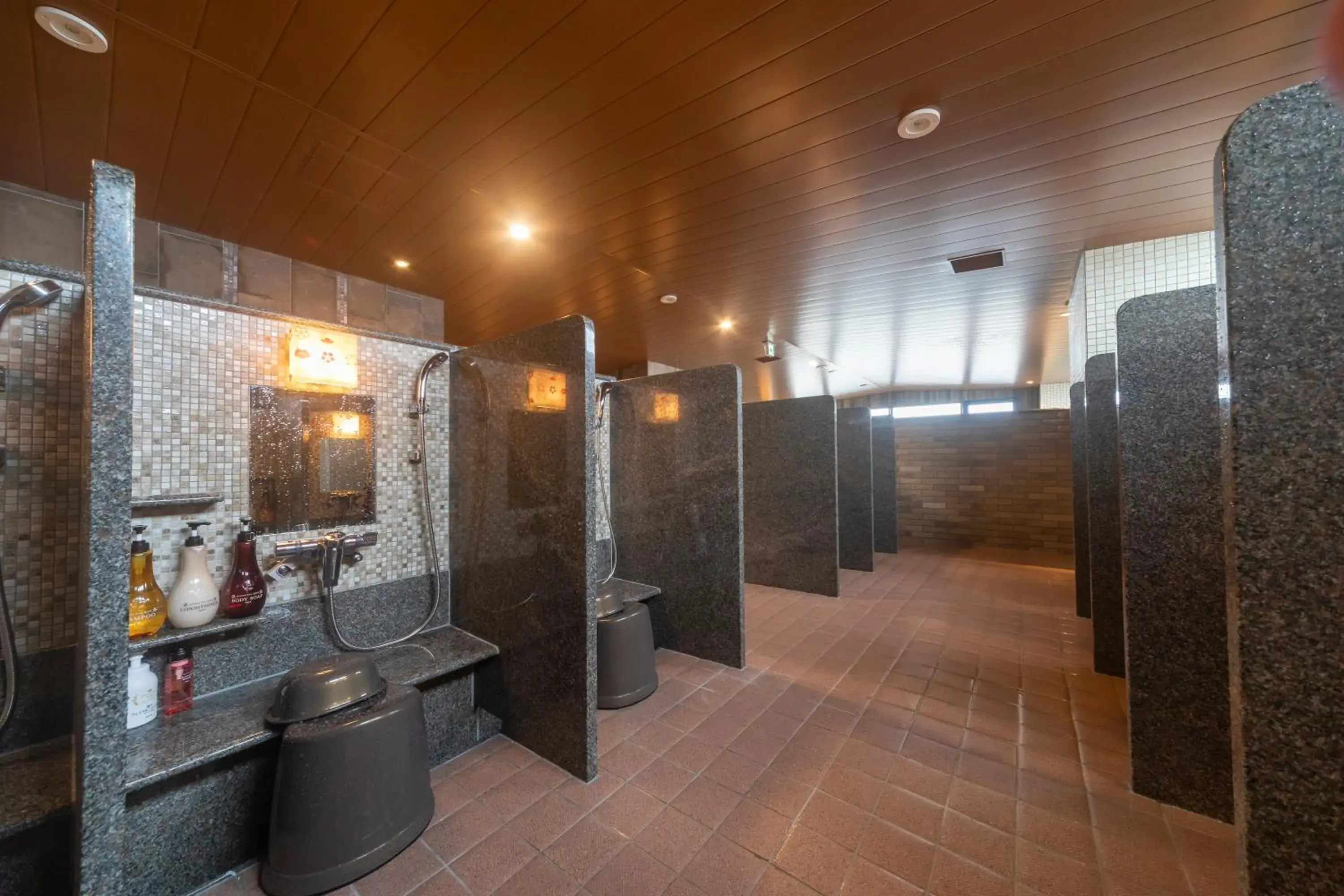 Spa and wellness centre/facilities, Bathroom in Dormy Inn Kawasaki Natural Hot Spring