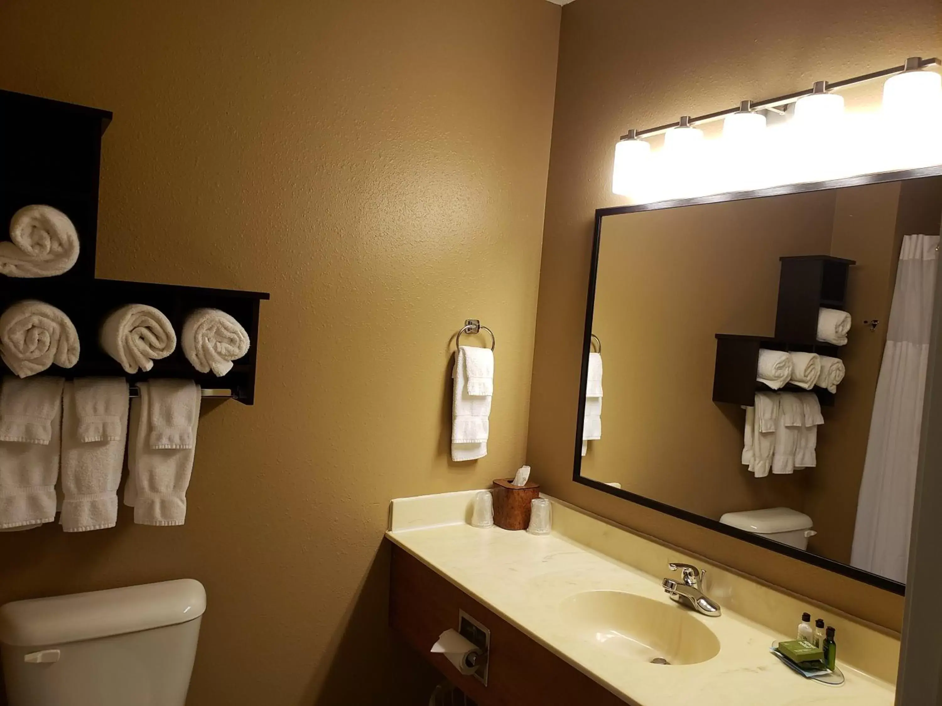 Bathroom in GrandStay Residential Suites Hotel - Eau Claire