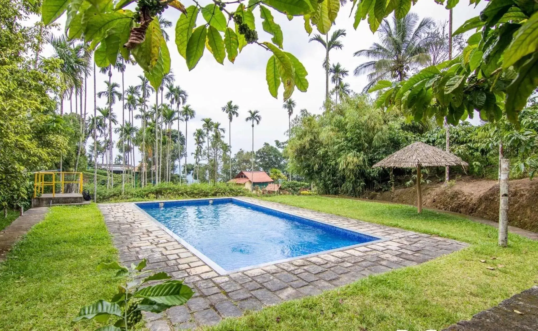Swimming Pool in Marmalade Springs Resort Wayanad Swimming Pool in Marmalade Springs Resort Wayanad