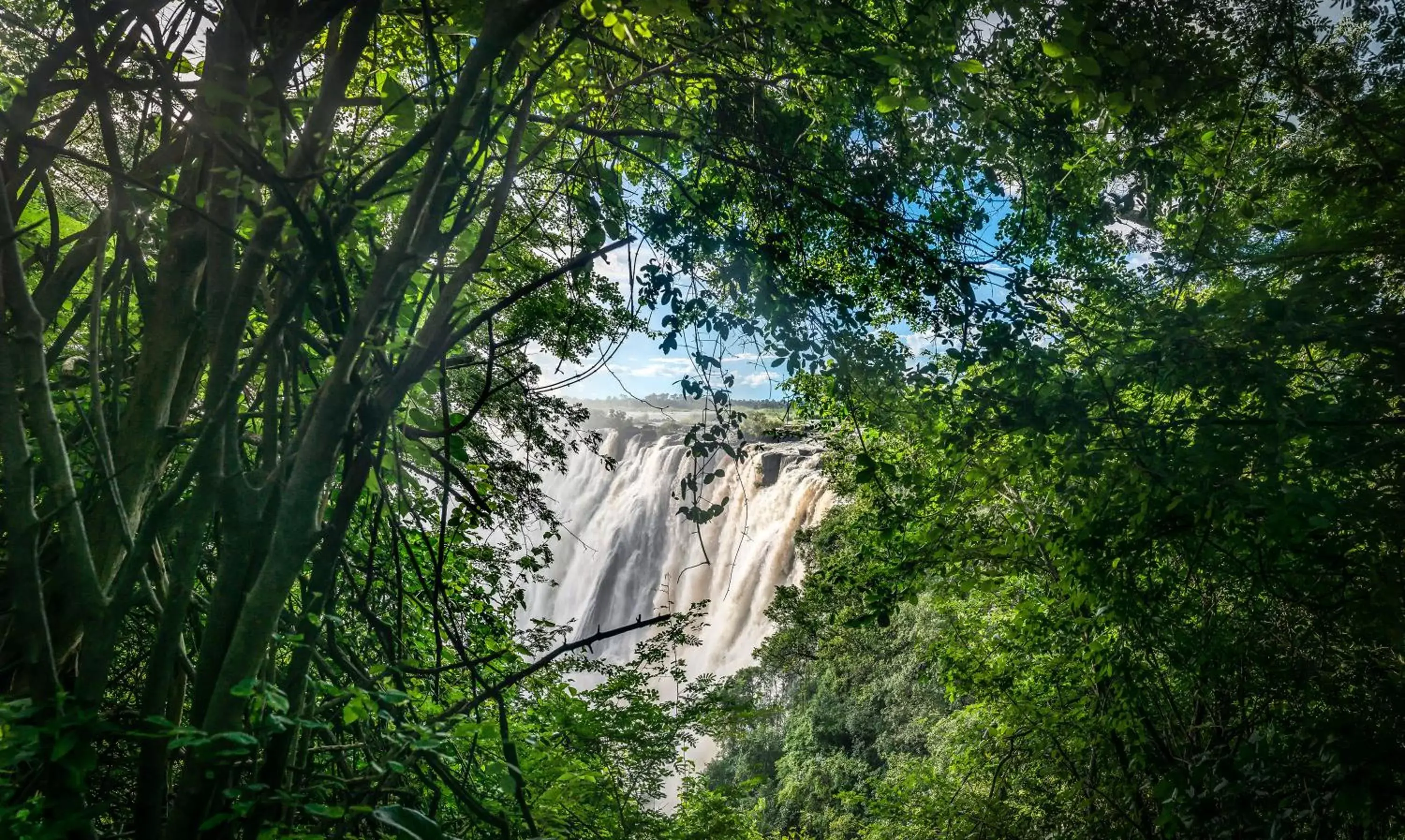 Natural landscape in Avani Victoria Falls Resort