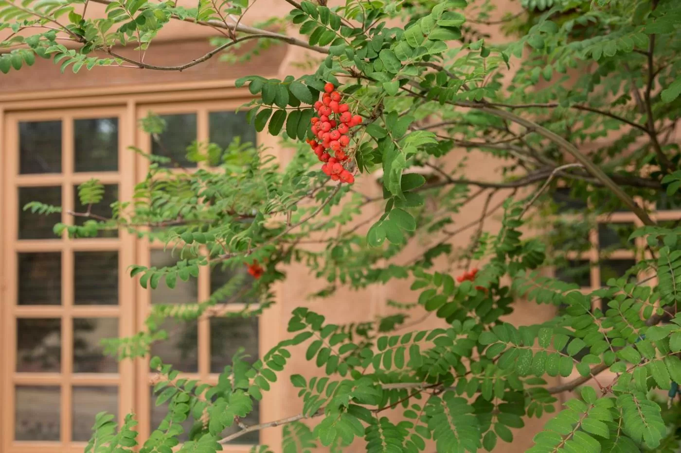 Natural landscape in Hotel Santa Fe