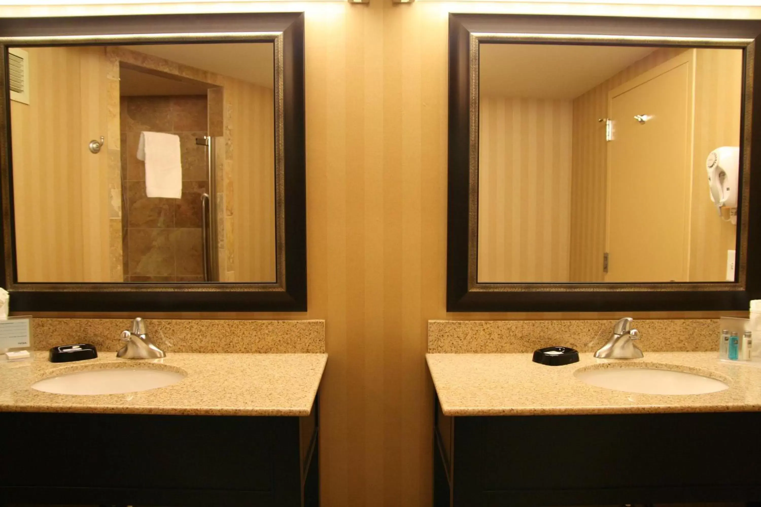 Bathroom in Hampton Inn Pensacola-Airport