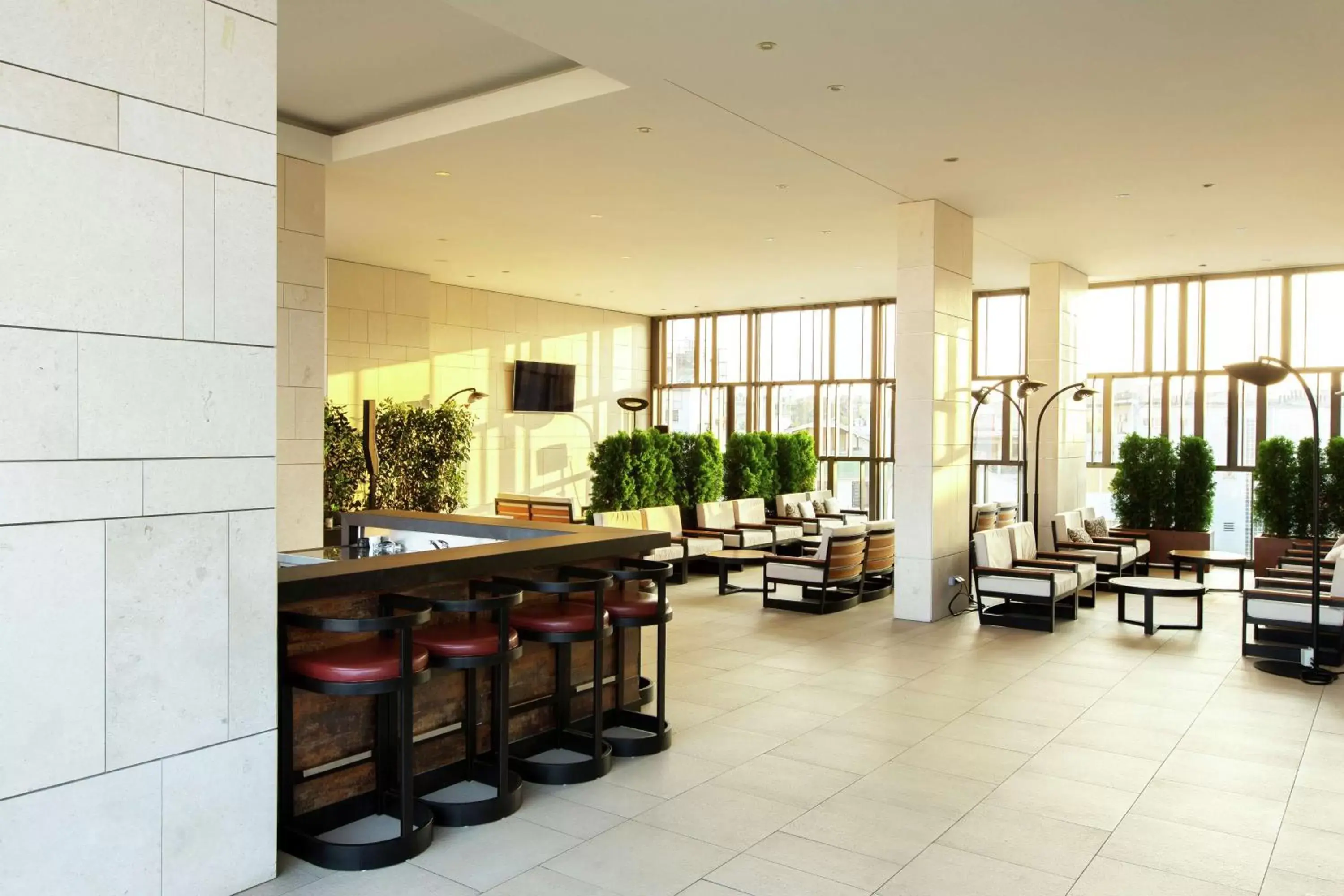 Lounge or bar in Hilton Belgrade Lounge or bar in Hilton Belgrade