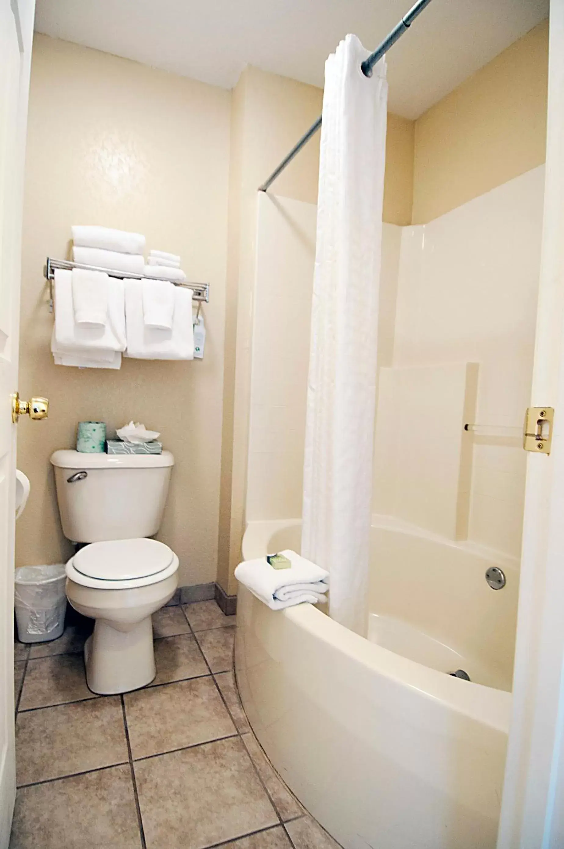 Toilet, Bathroom in Tremont Lodge & Resort
