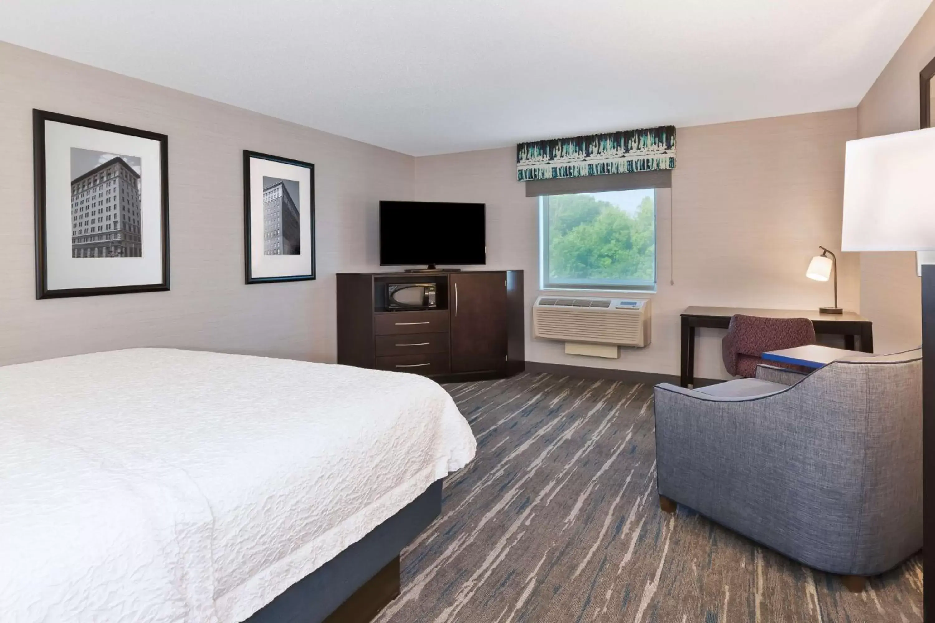 Bedroom, TV/Entertainment Center in Hampton Inn and Suites Flint/Grand Blanc