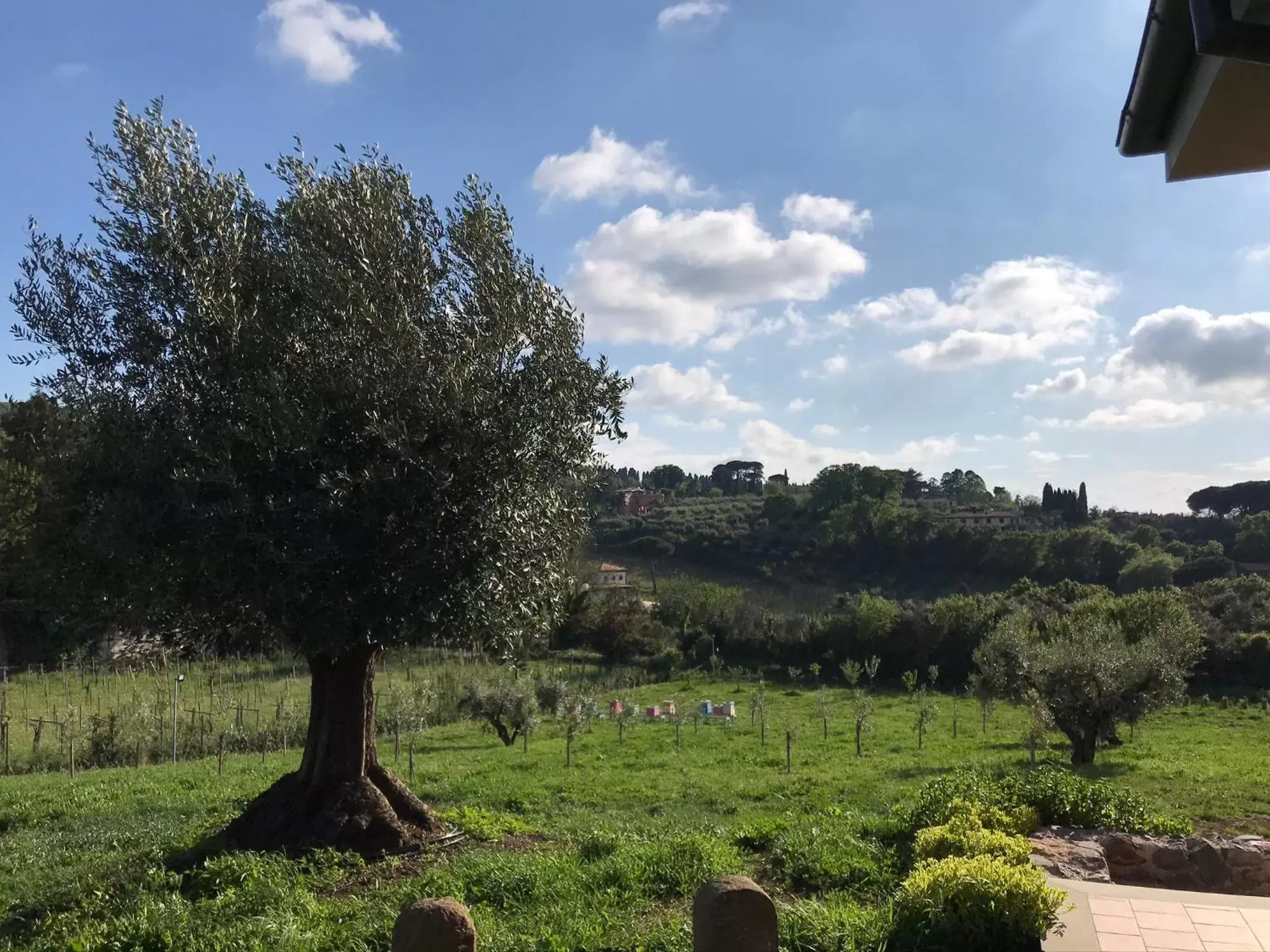 Natural landscape in B&B Bee