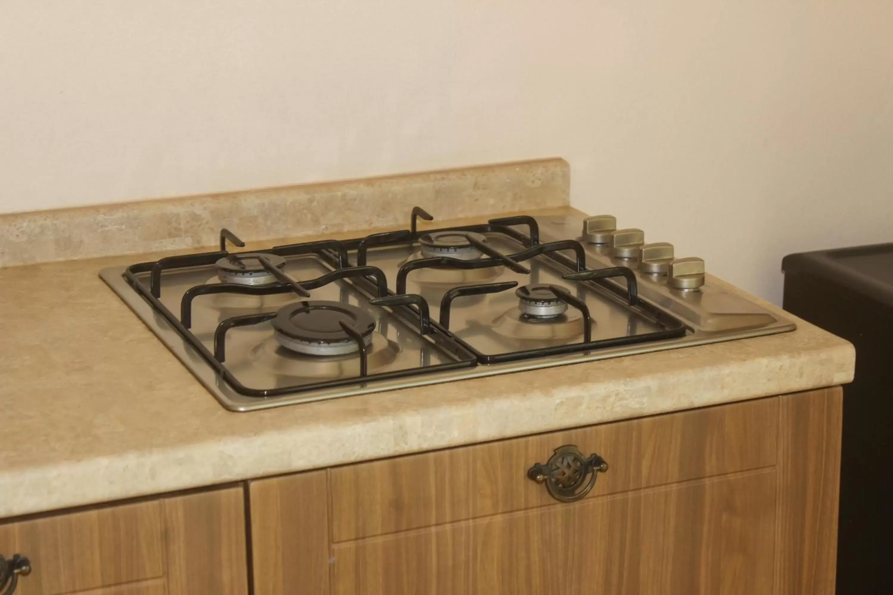stove, Kitchen/Kitchenette in Villa Los Corales