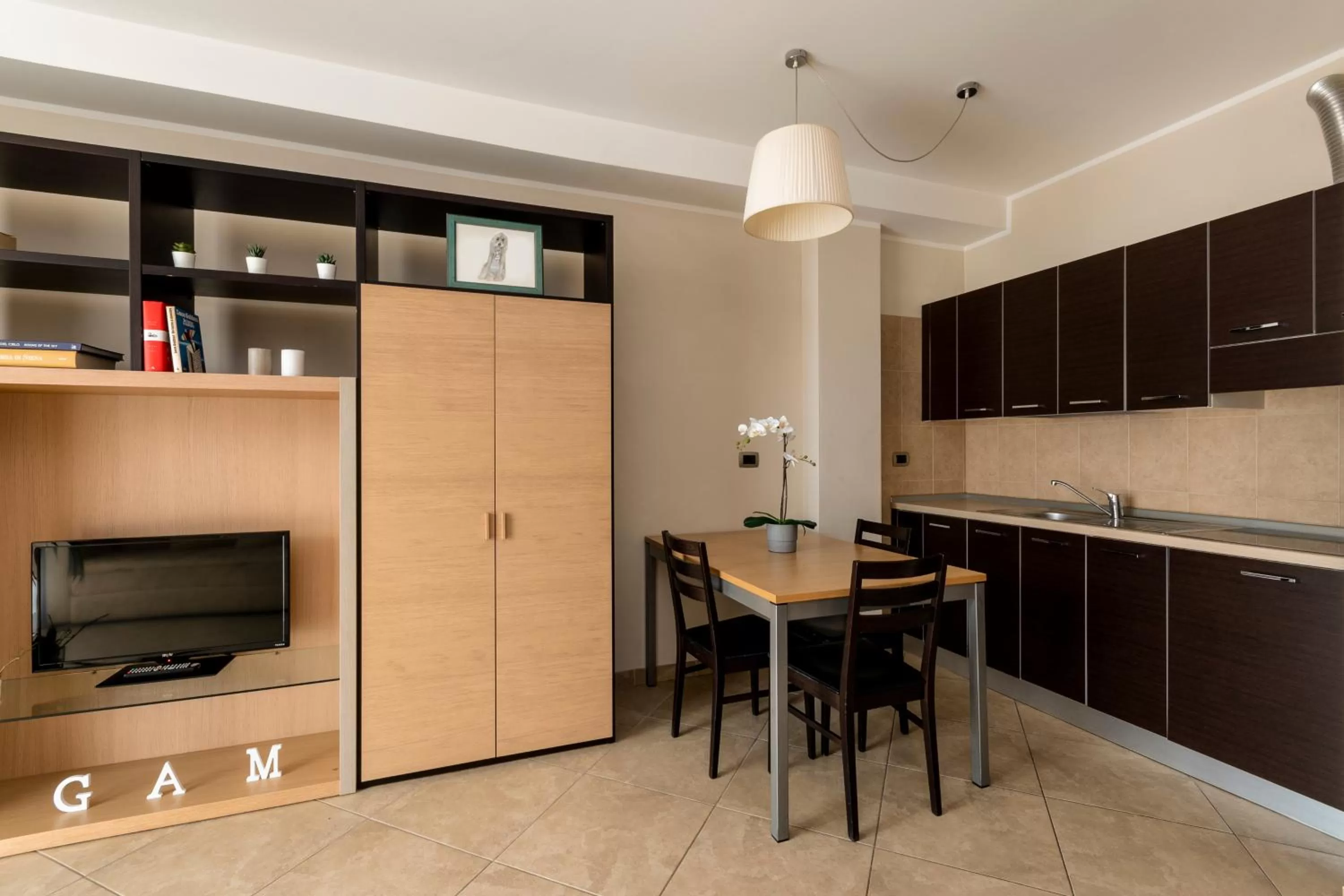 Kitchen or kitchenette in ApartHotel Anghel