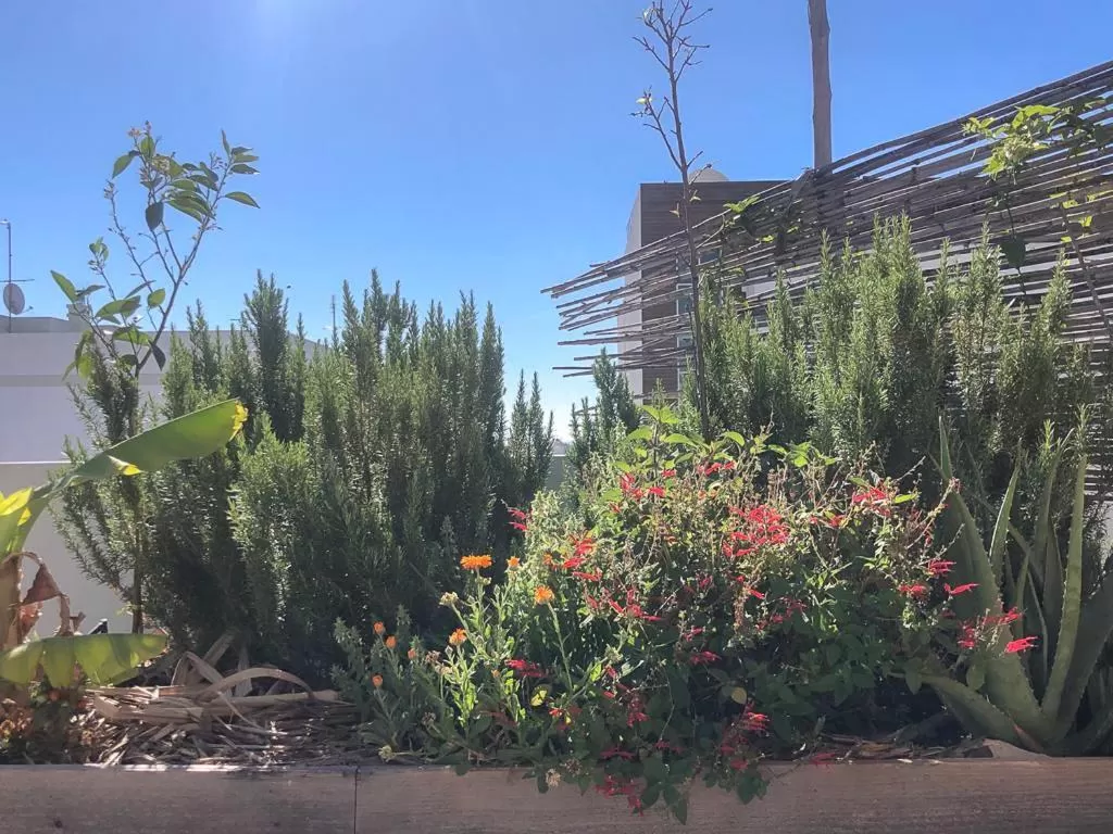 Day in Altanure - Almatere Food Forest Boutique Hotel