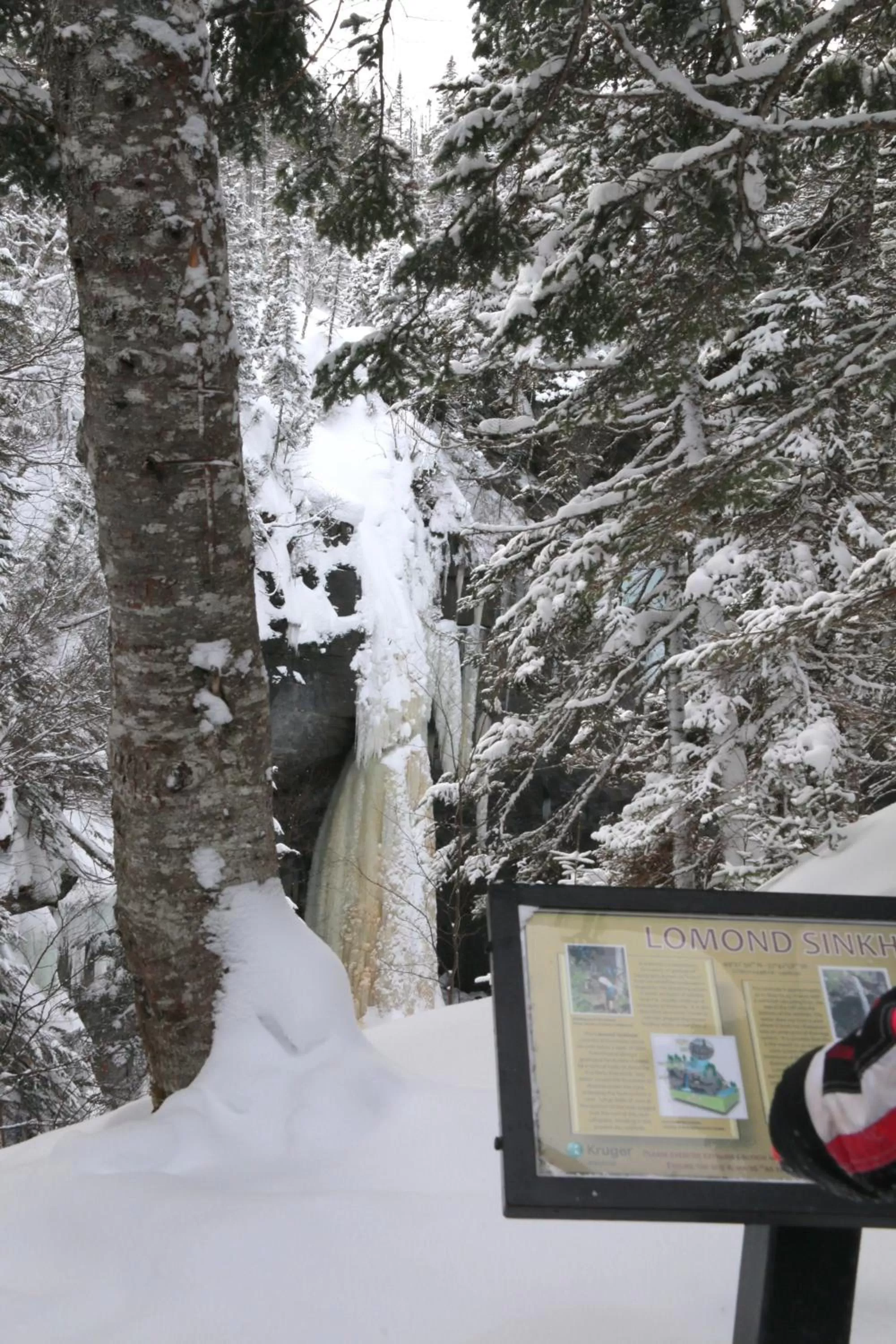 Nearby landmark in Deer Lake Horizon Hotel