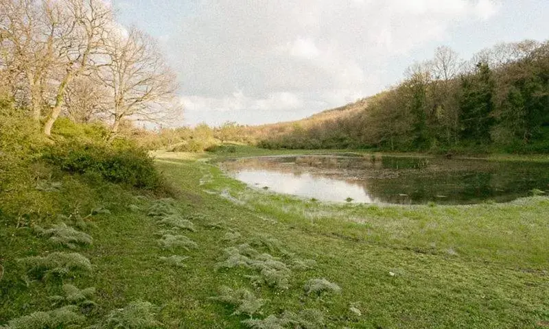 Natural Landscape in Il Melograno