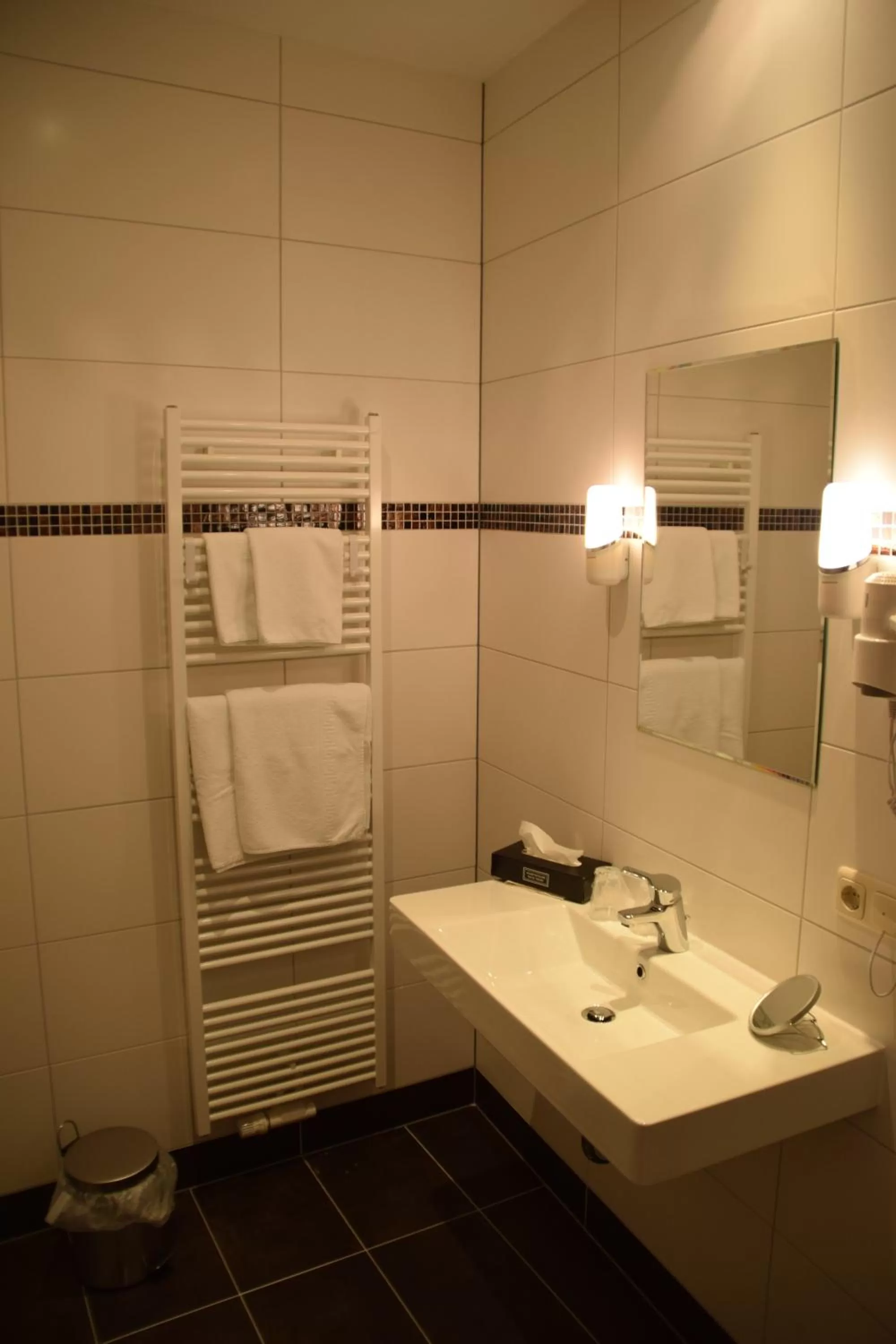 Toilet in Hotel Amber Altstadt