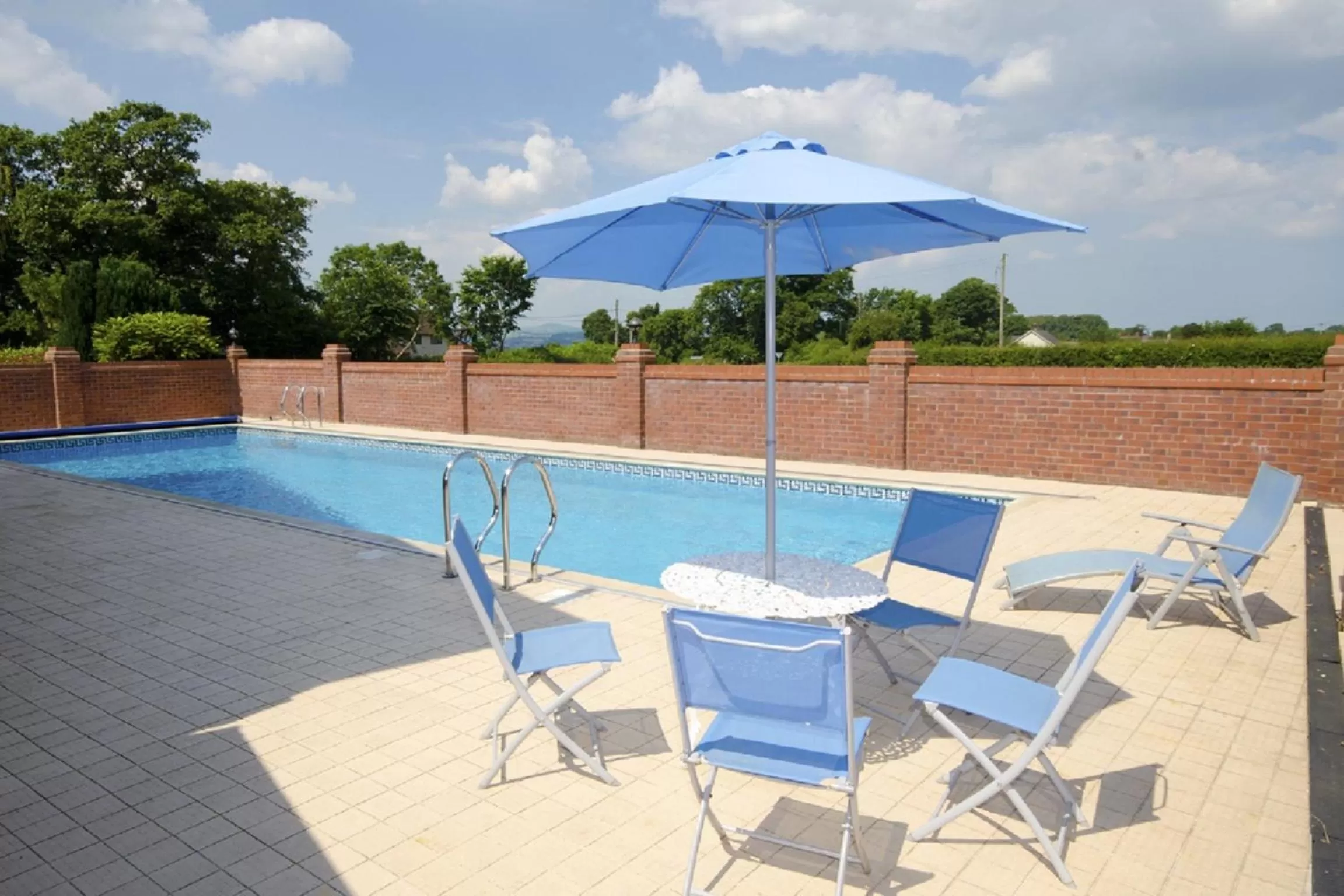 Swimming Pool in Tall Trees