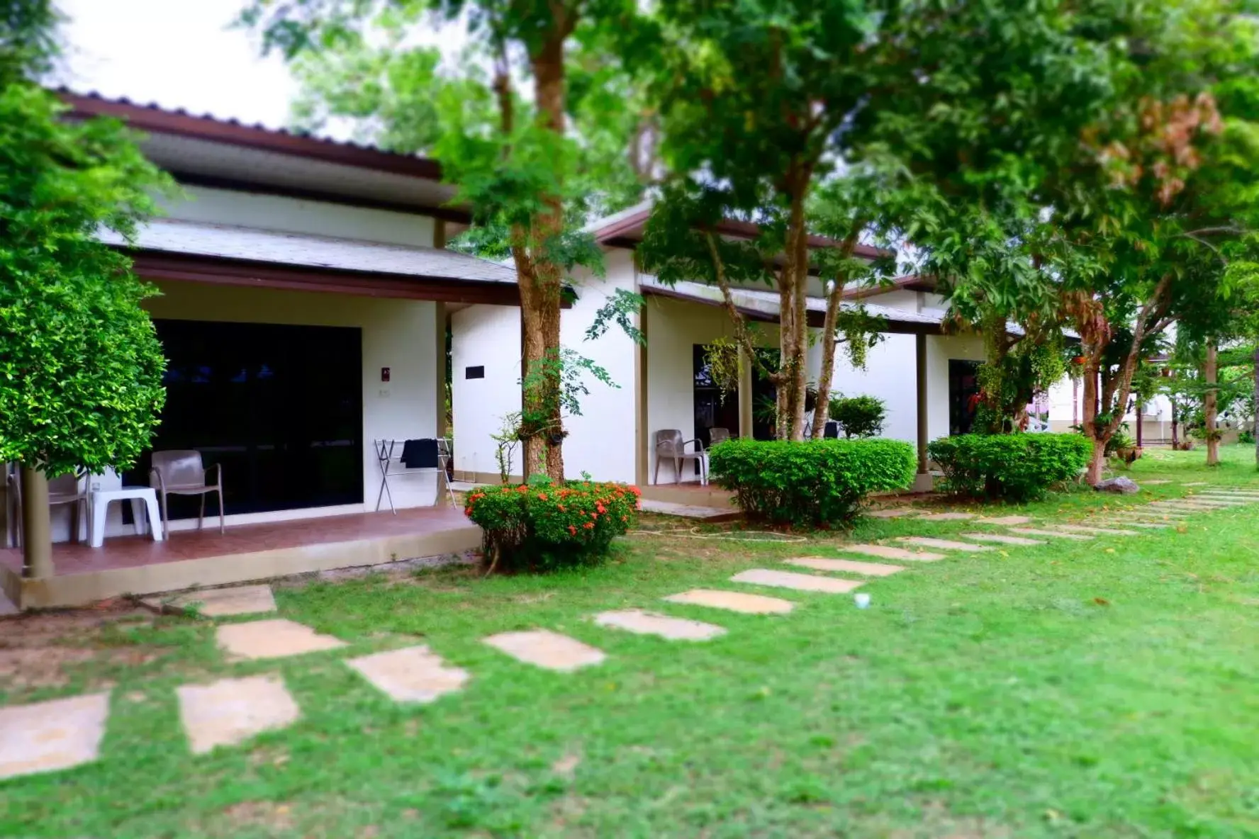 Property Building in Saphli Villa