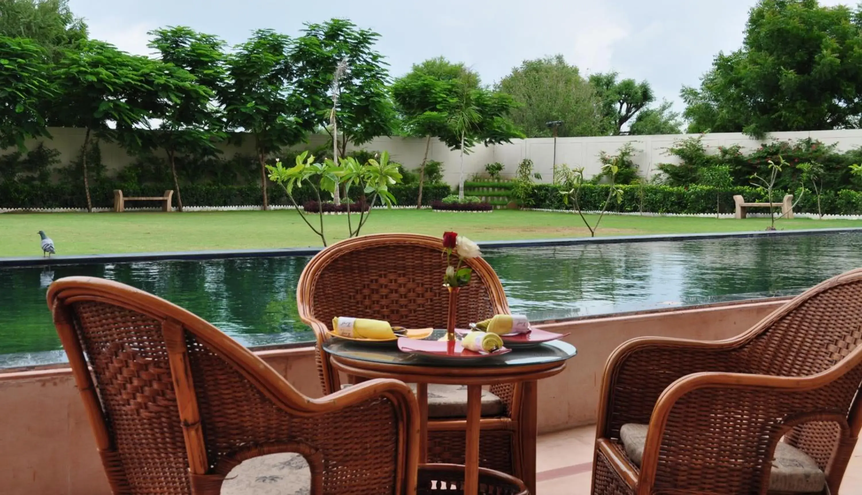 Patio, Swimming Pool in Ramada by Wyndham Jaipur Jaisinghpura