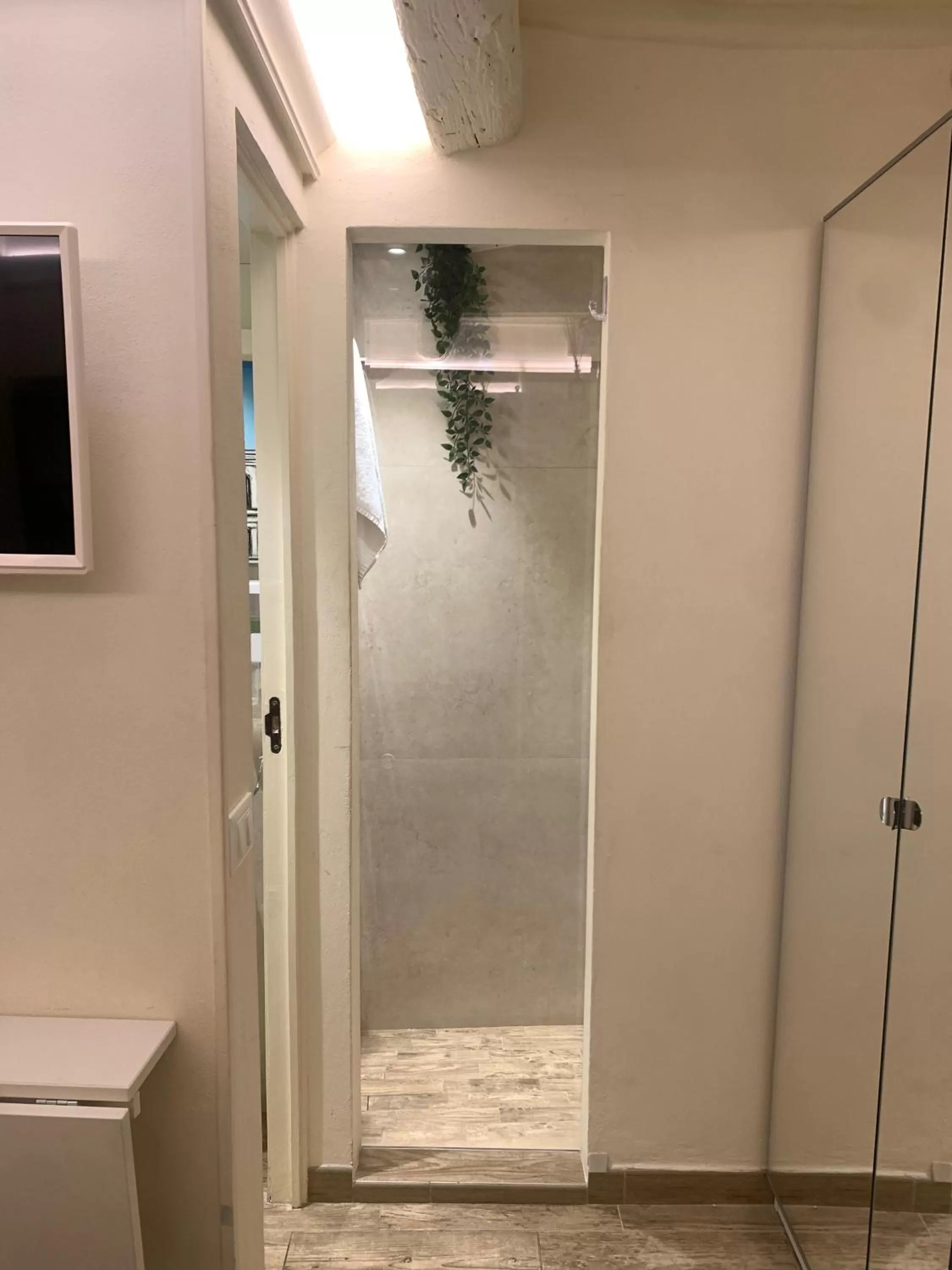 Shower, Bathroom in GB apartments