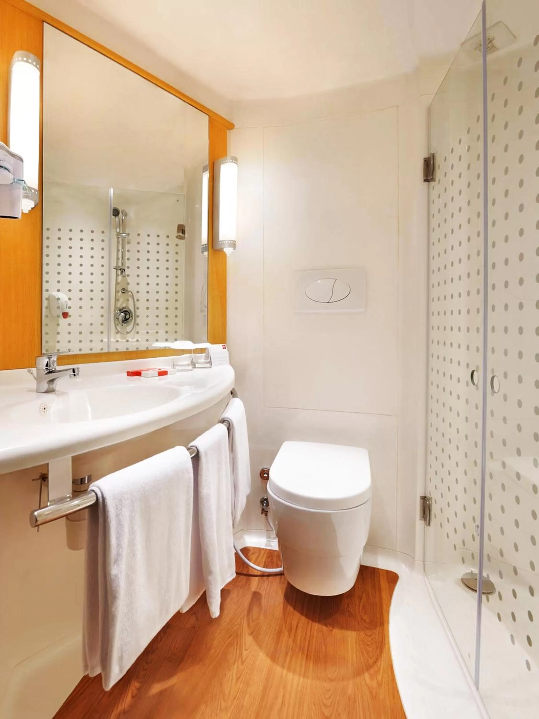 Toilet in Ibis Padang