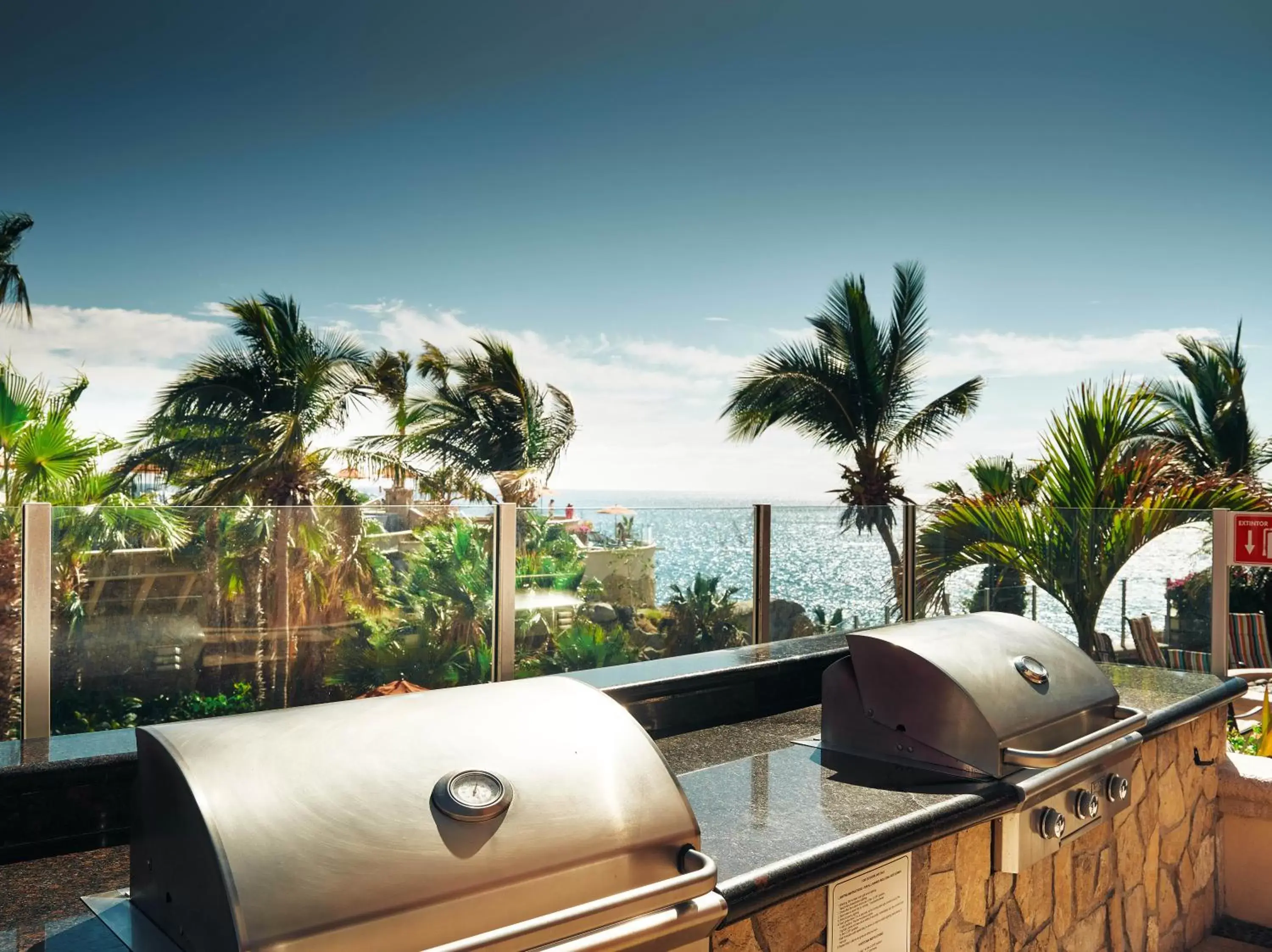 BBQ facilities in Hyatt Vacation Club at Sirena del Mar