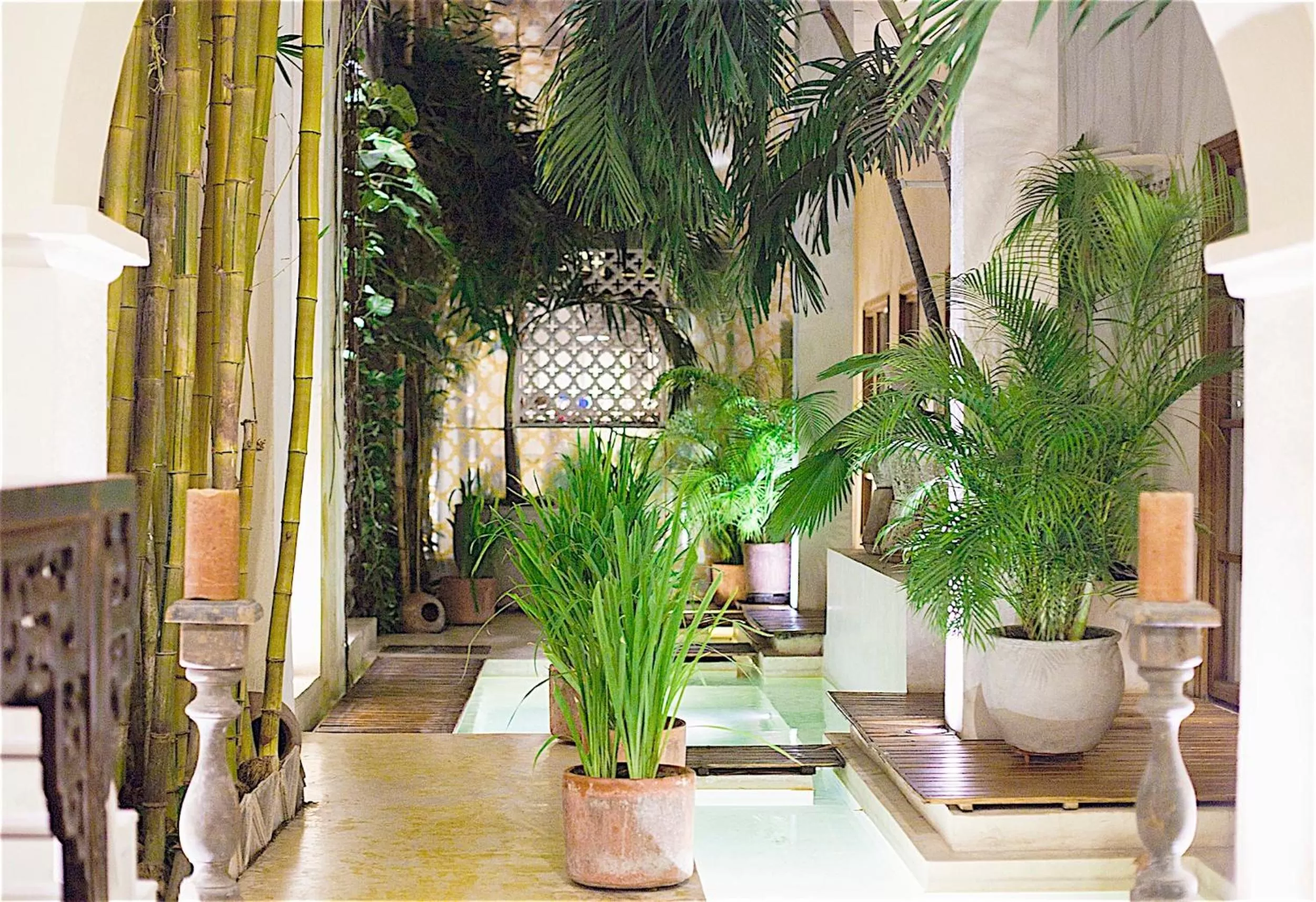 Lobby or reception in Hotel Casa Lola Deluxe Gallery