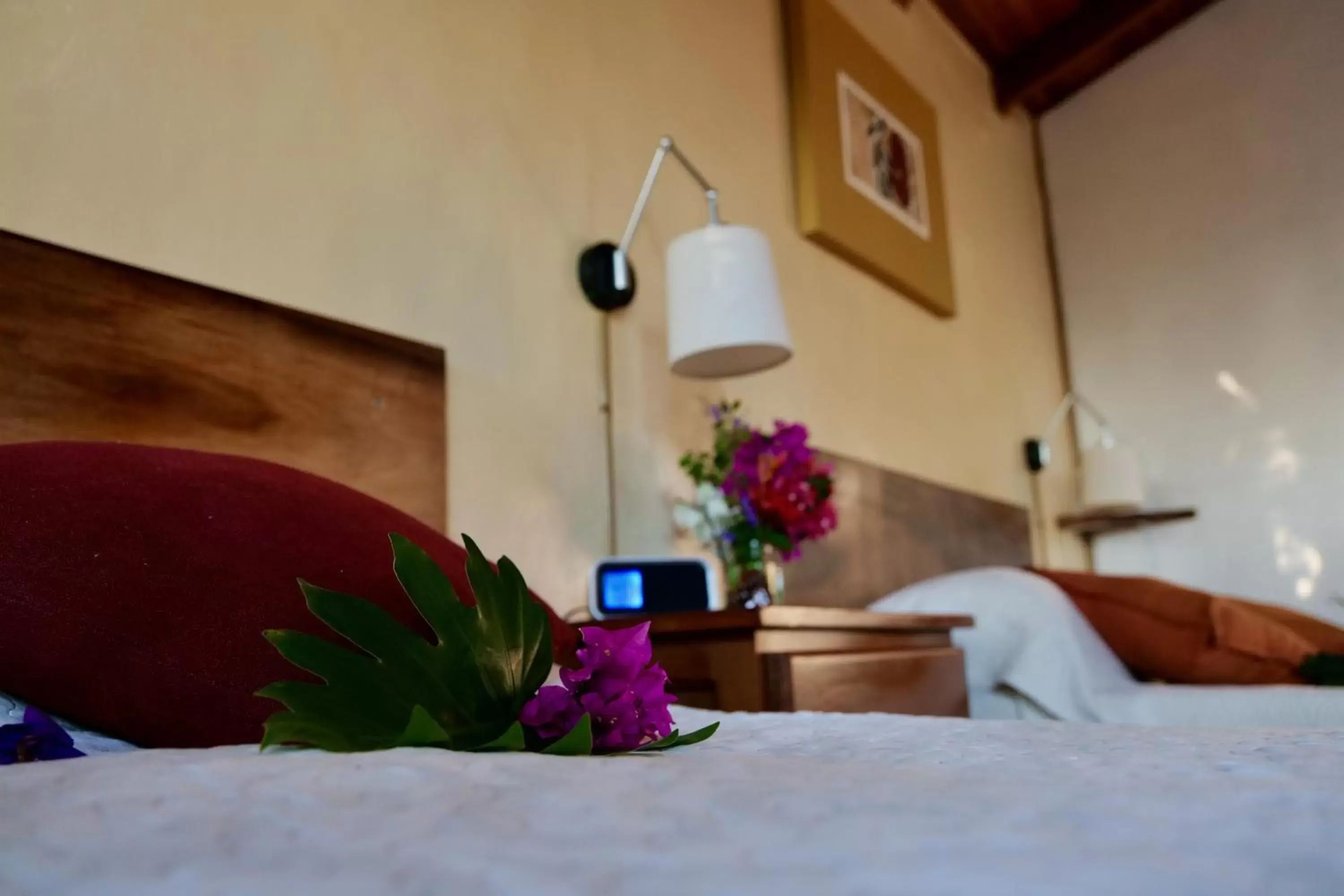 Bed in El Mirador Glamping & Apartments & Woodhouse & Swimingpool