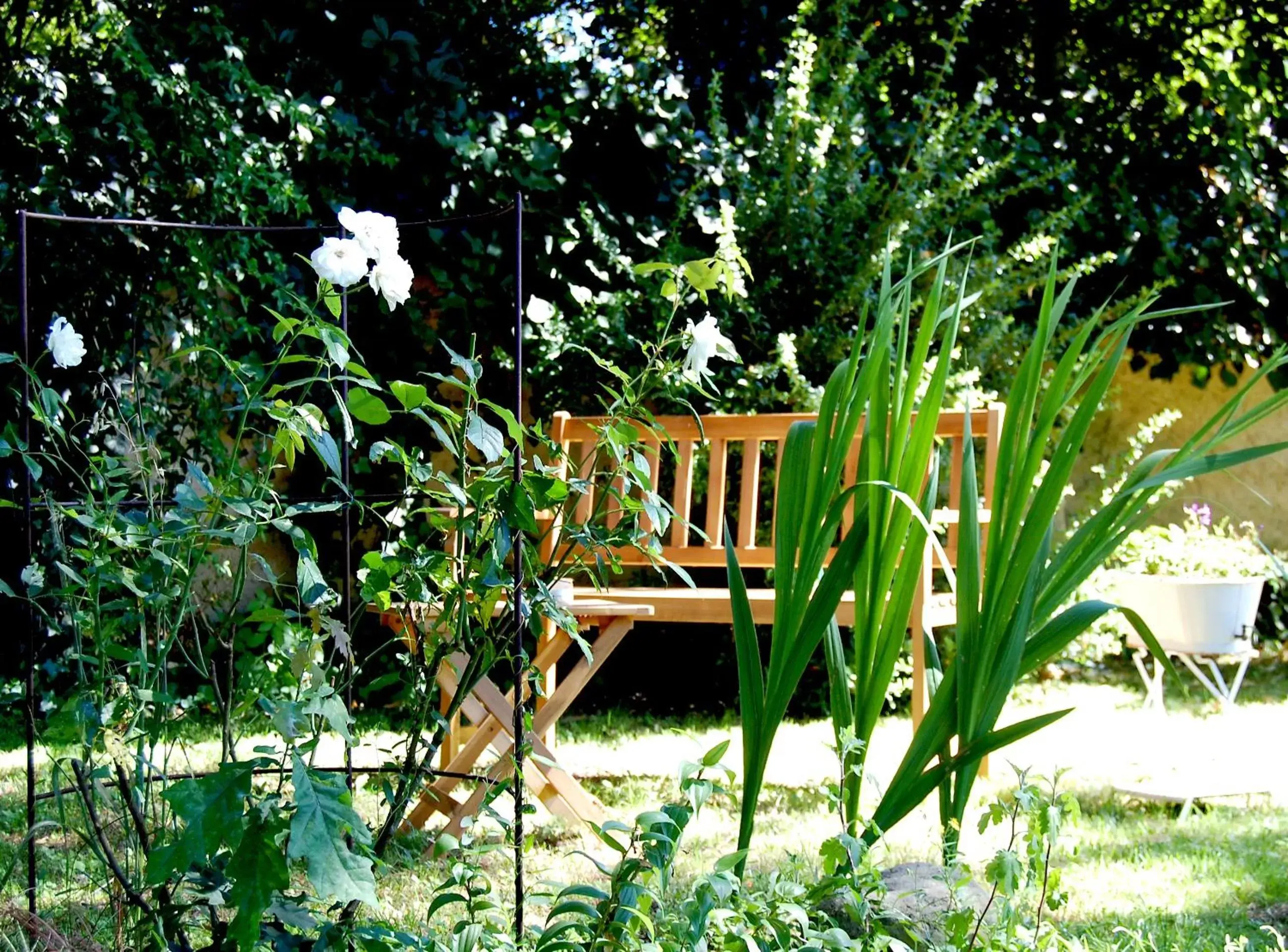 Garden in Madeleine Bergerac