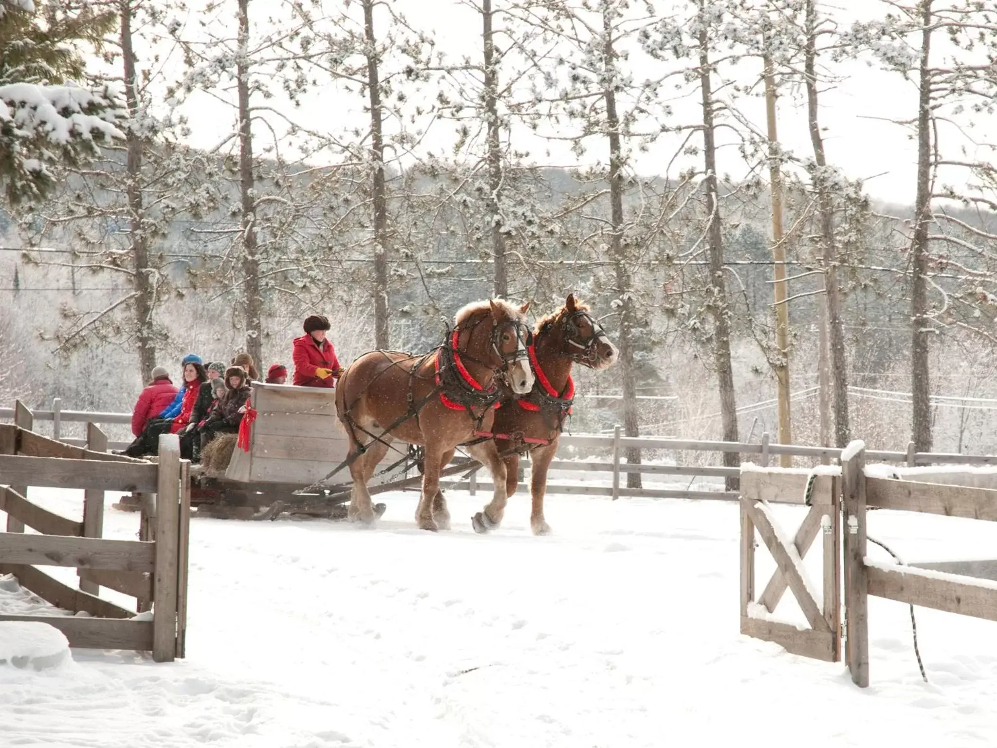 Activities, Horseback Riding in Deerhurst Resort