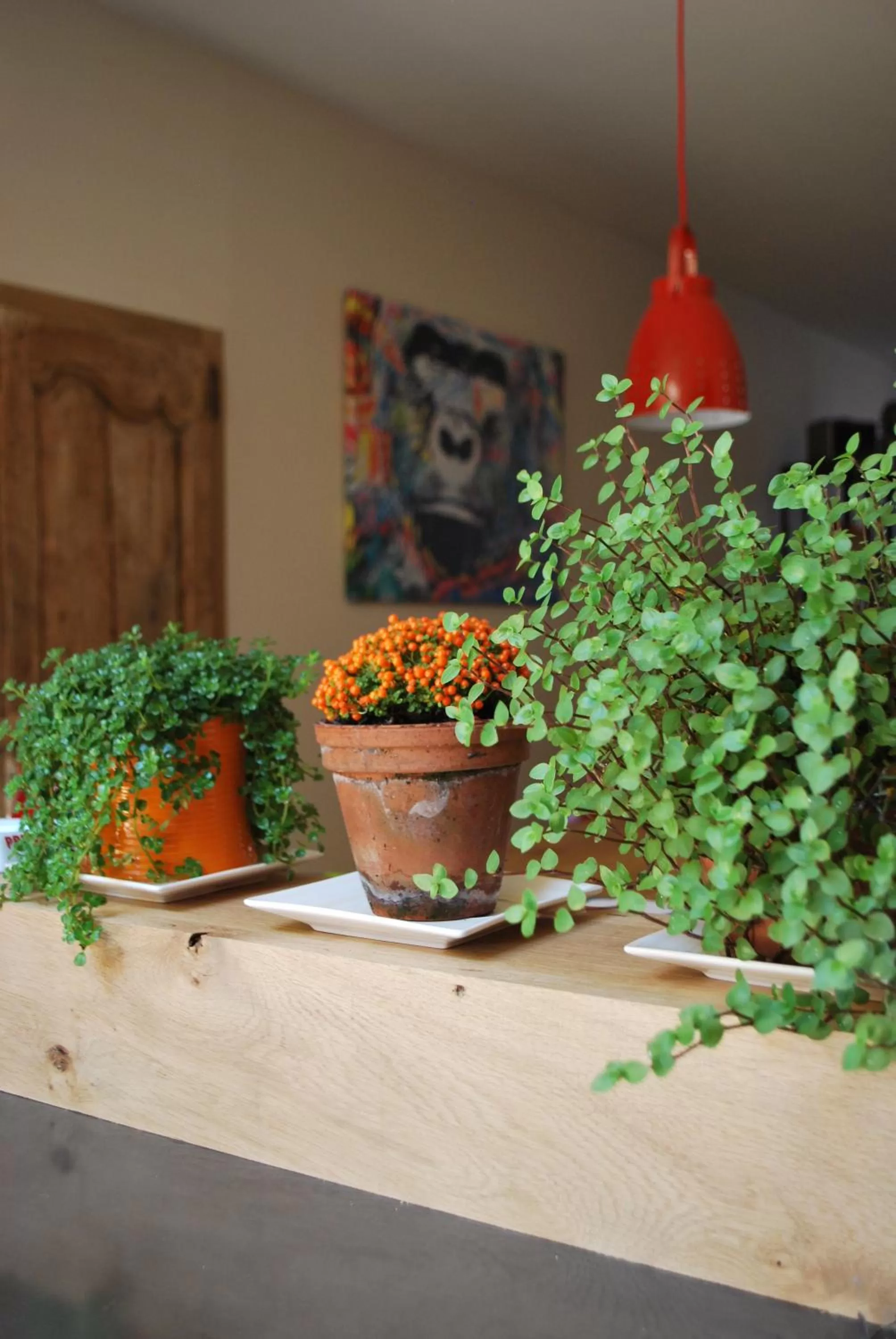 Decorative detail in Natangora