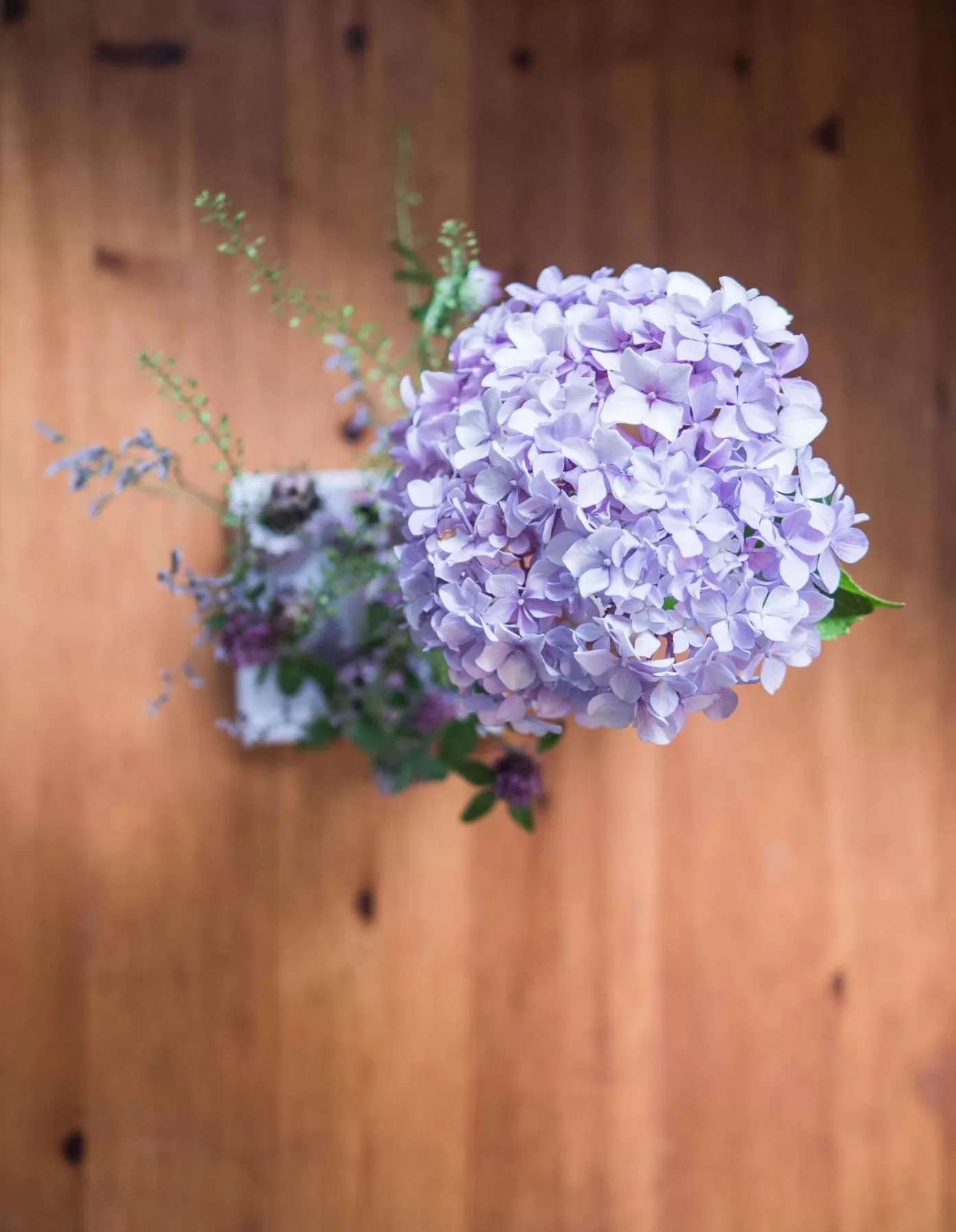 Decorative detail in IMbery Hotel & Restaurant Hinterzarten