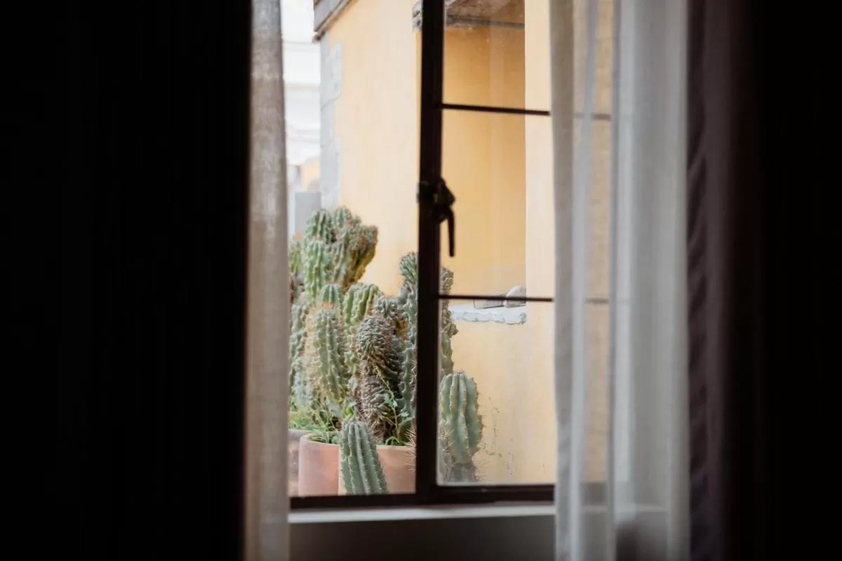 Other in Casa Lomah Hotel