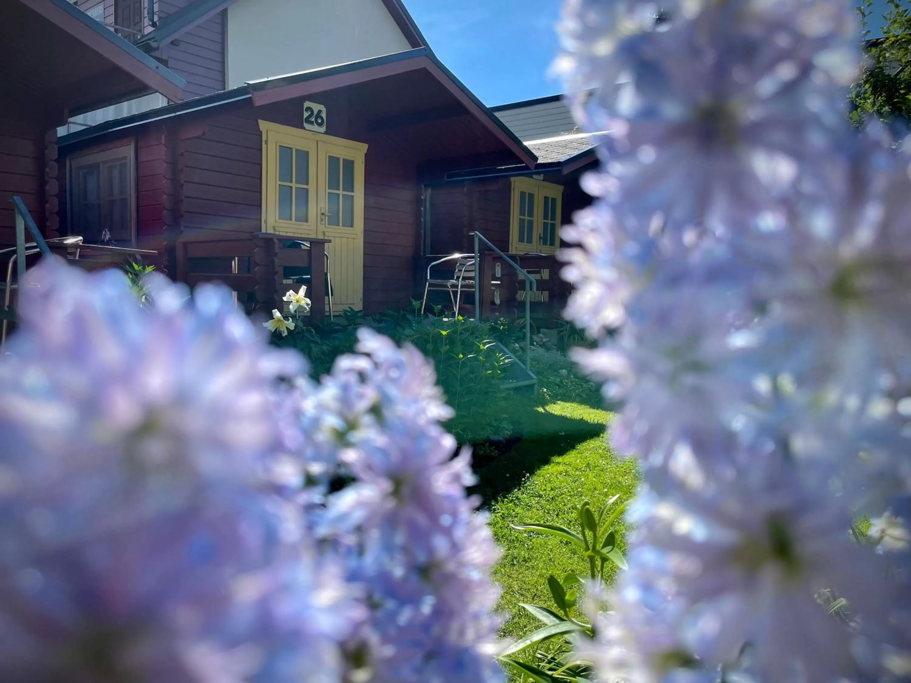 Day in Aleksandri Guesthouse