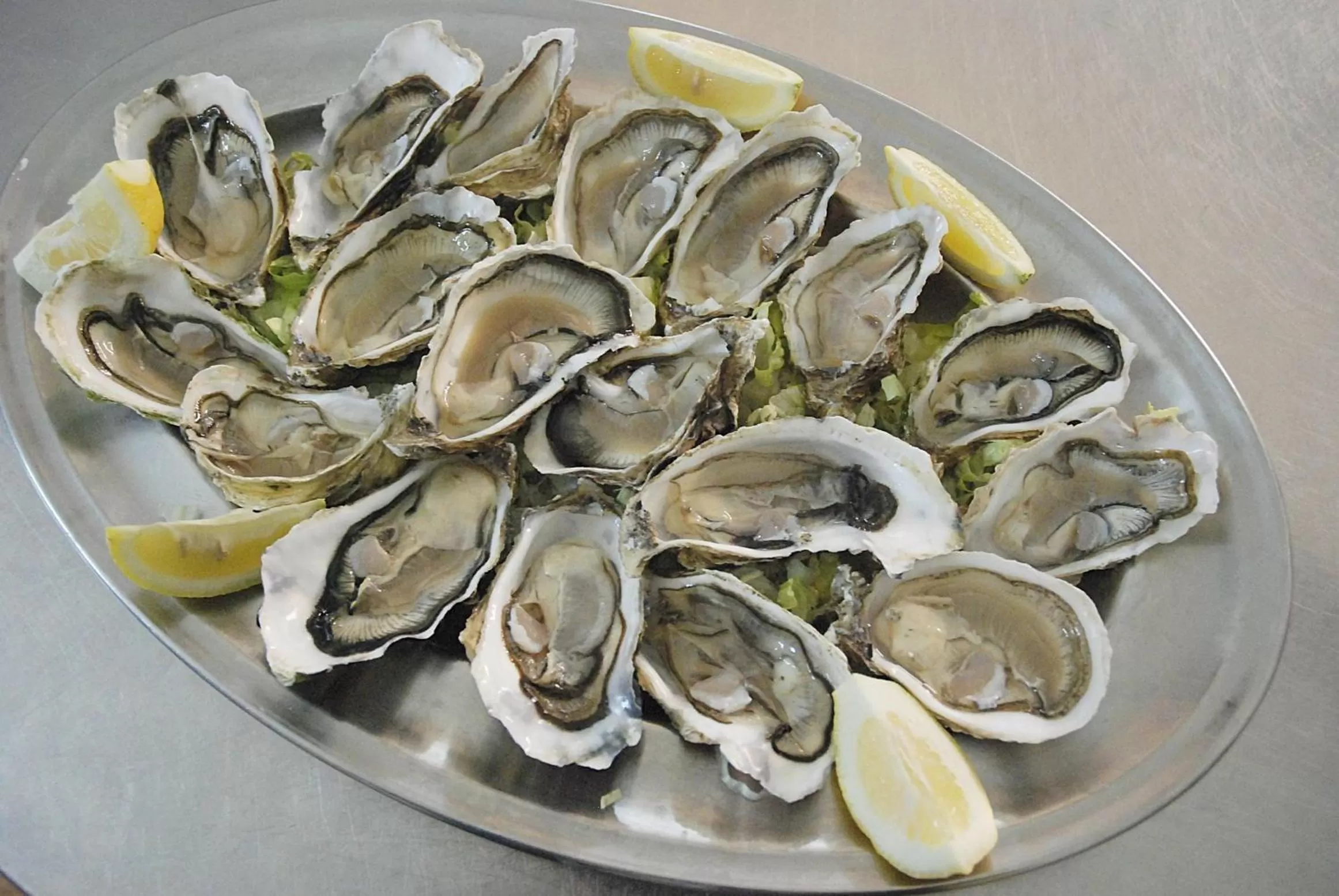 Food in Forum Palace Hotel