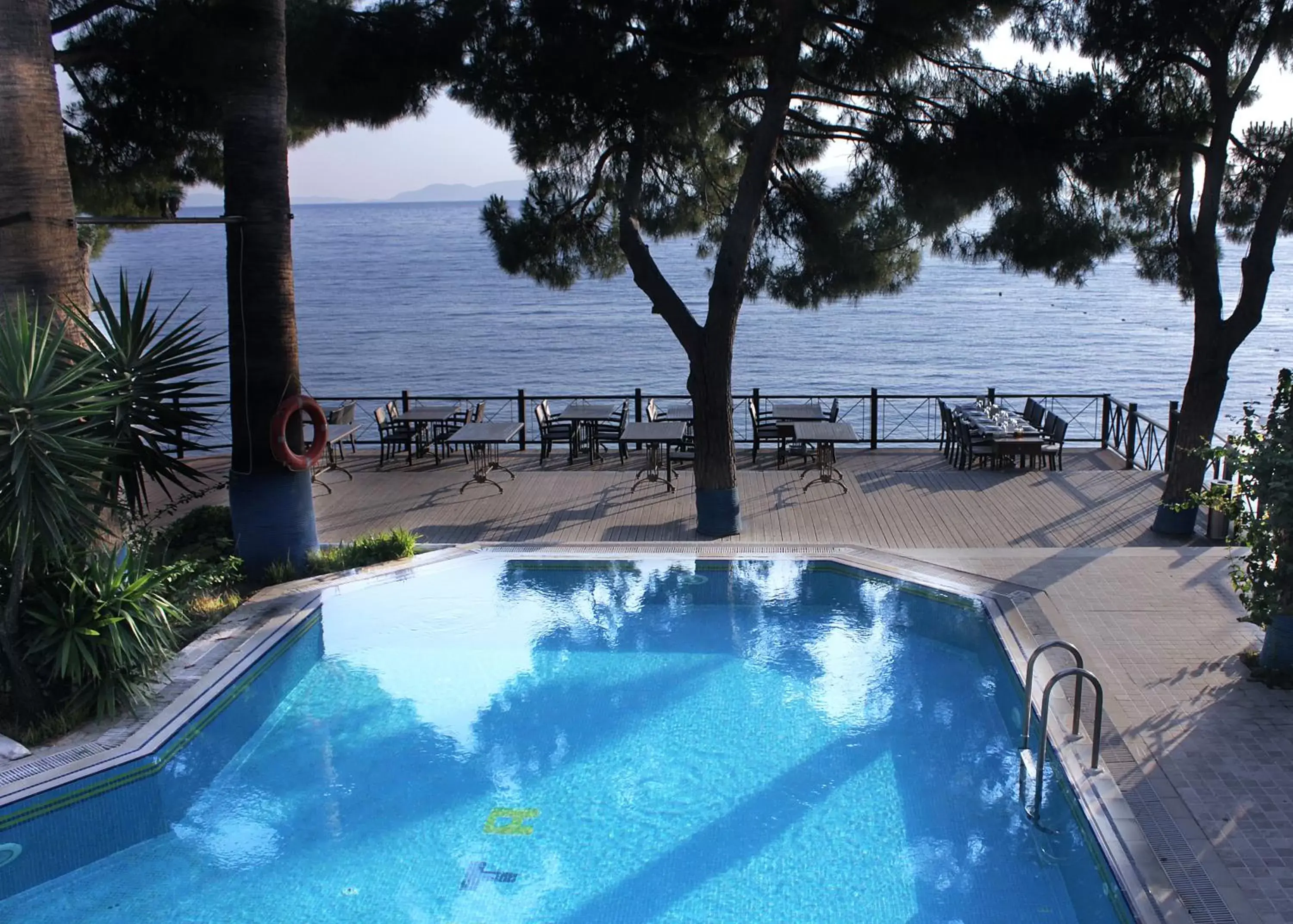 Swimming Pool in Arora Hotel