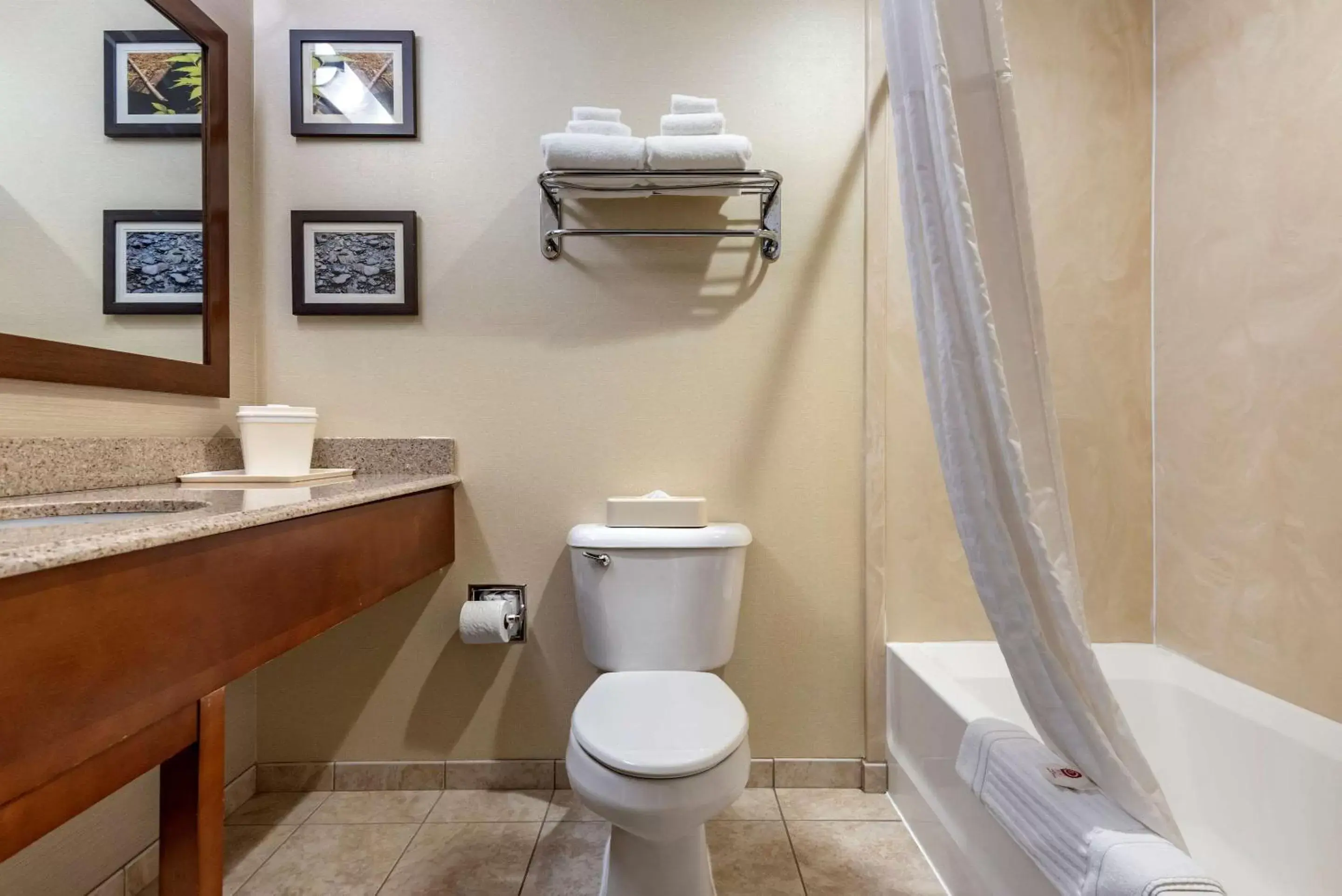 Bathroom in Comfort Inn & Suites Farmington - Victor