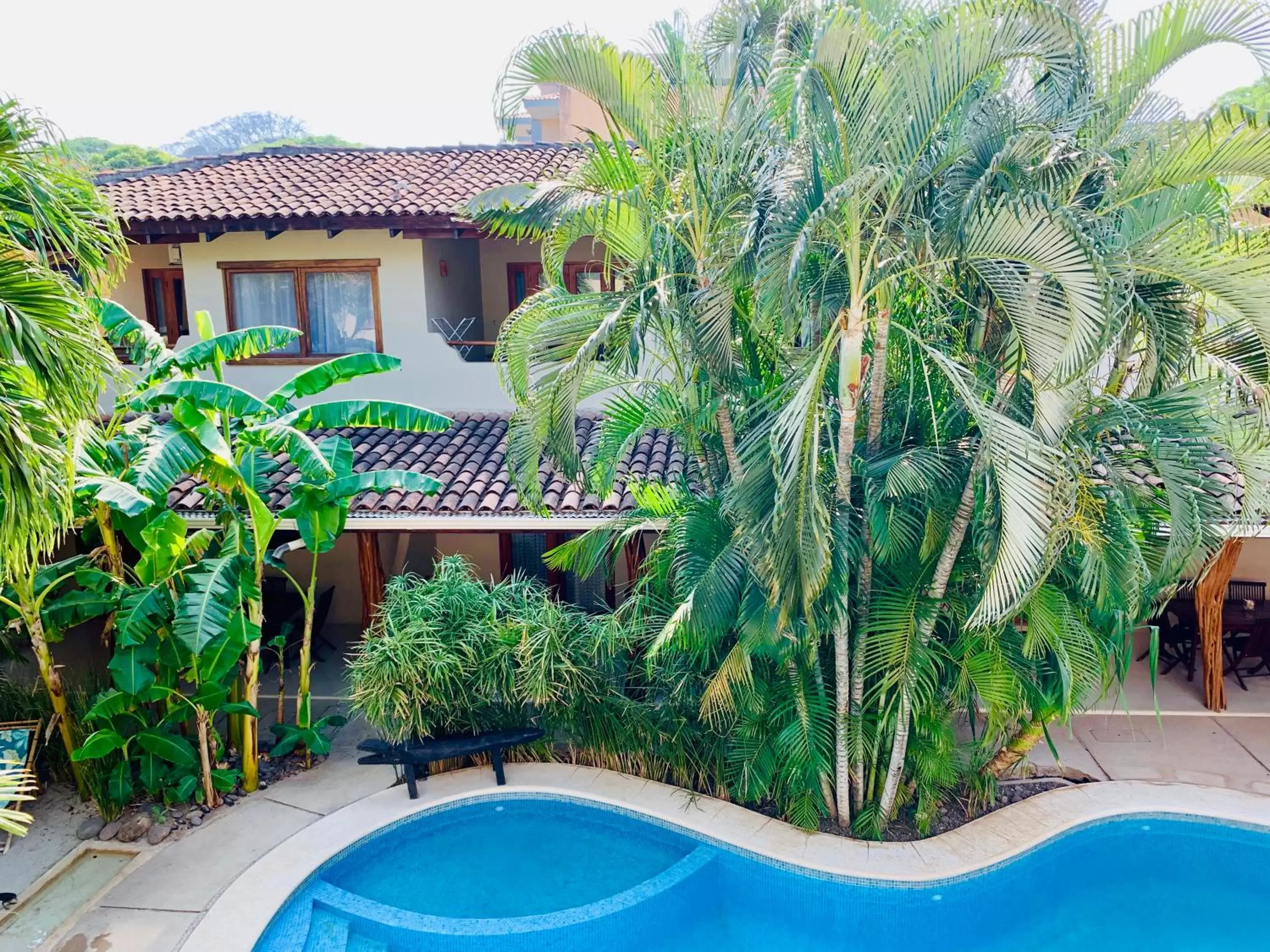 Garden, Pool View in Ten North Tamarindo Beach Hotel