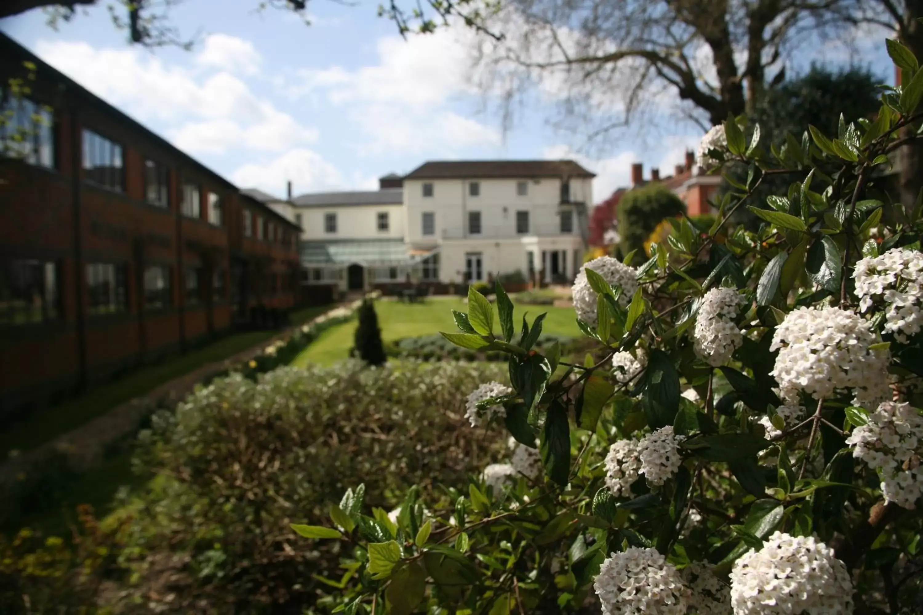 Garden, Property Building in Winchester Royal Hotel