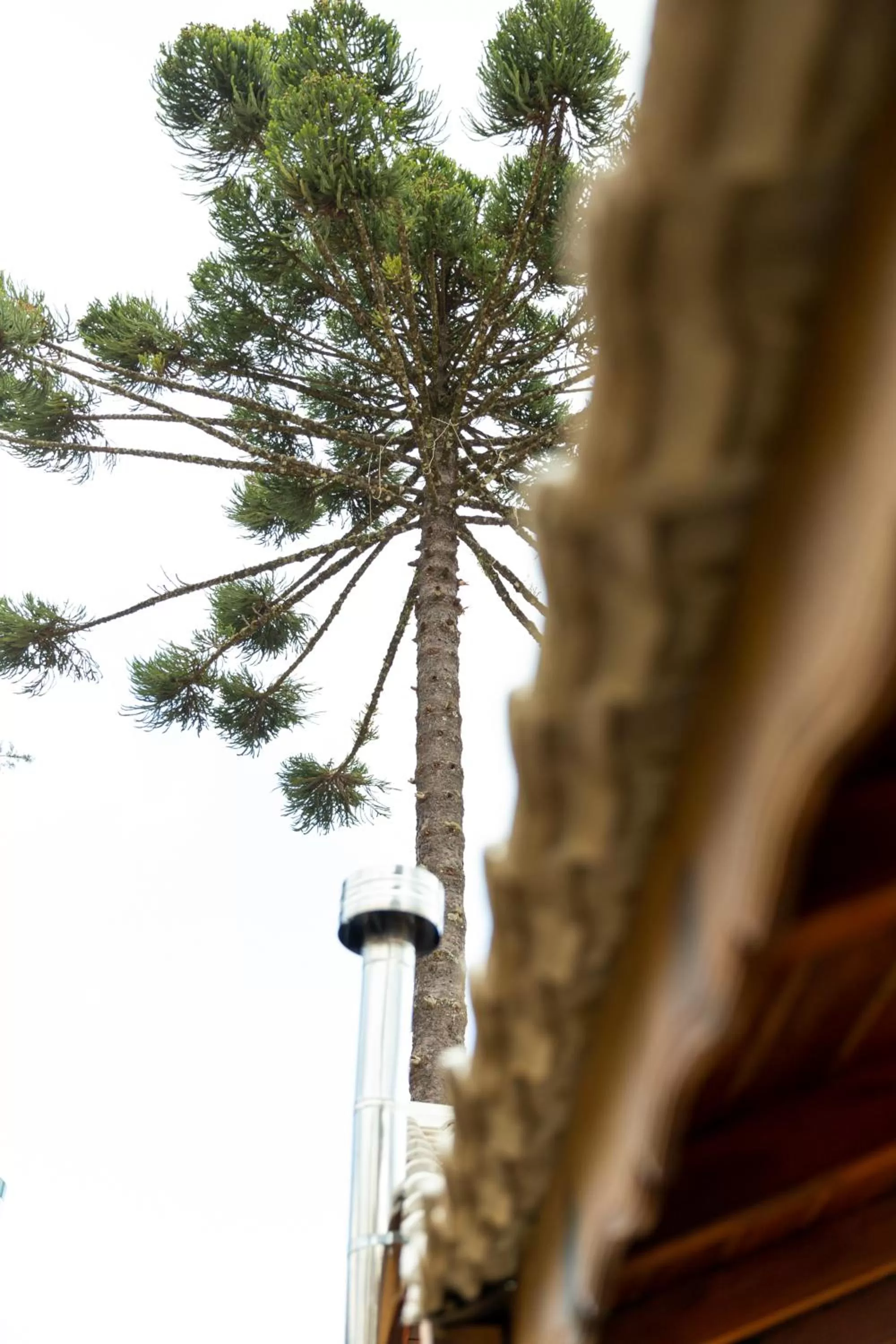 Decorative detail in Pousada Dona Bendita