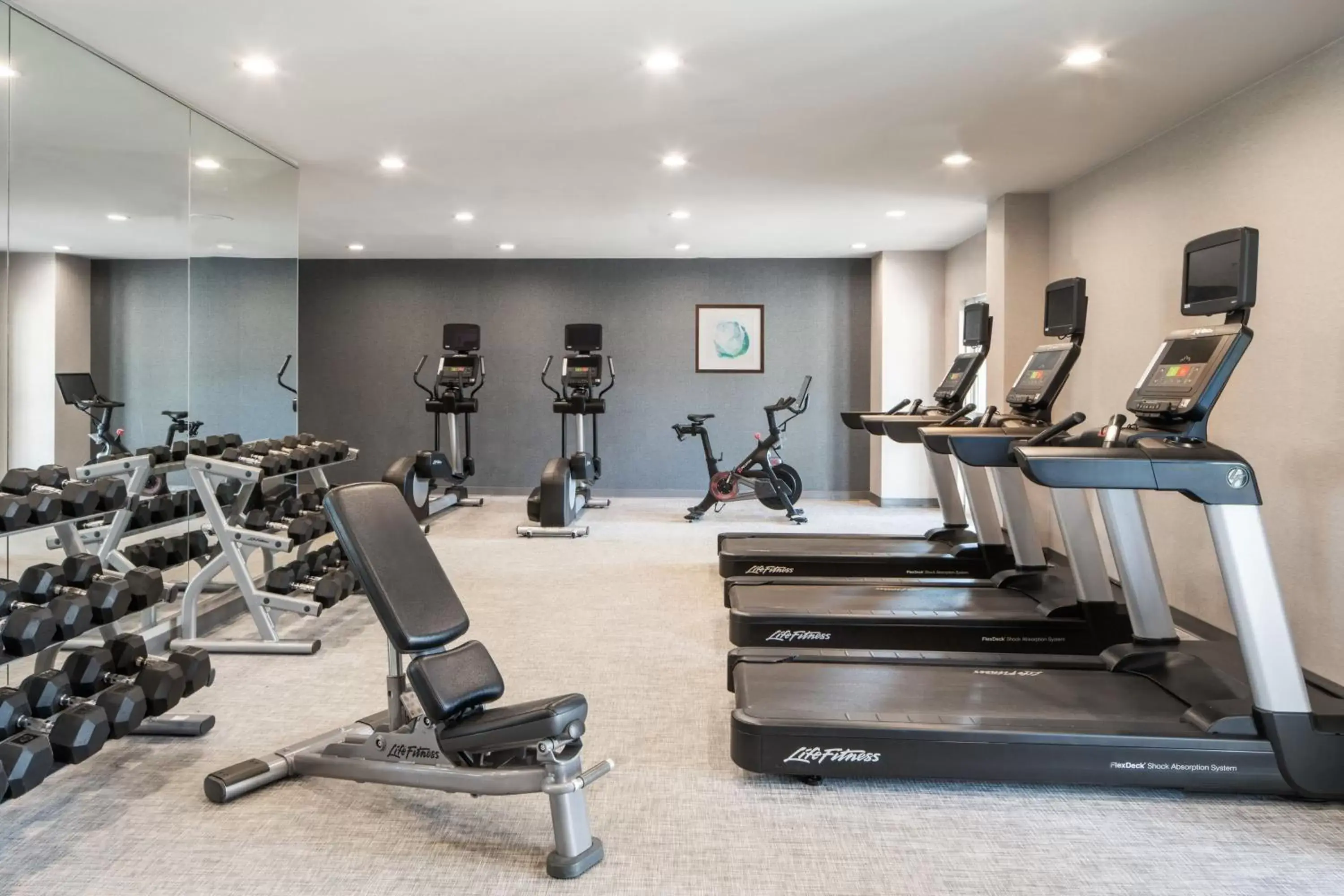 Fitness centre/facilities, Fitness Center/Facilities in SpringHill Suites by Marriott Charleston Riverview