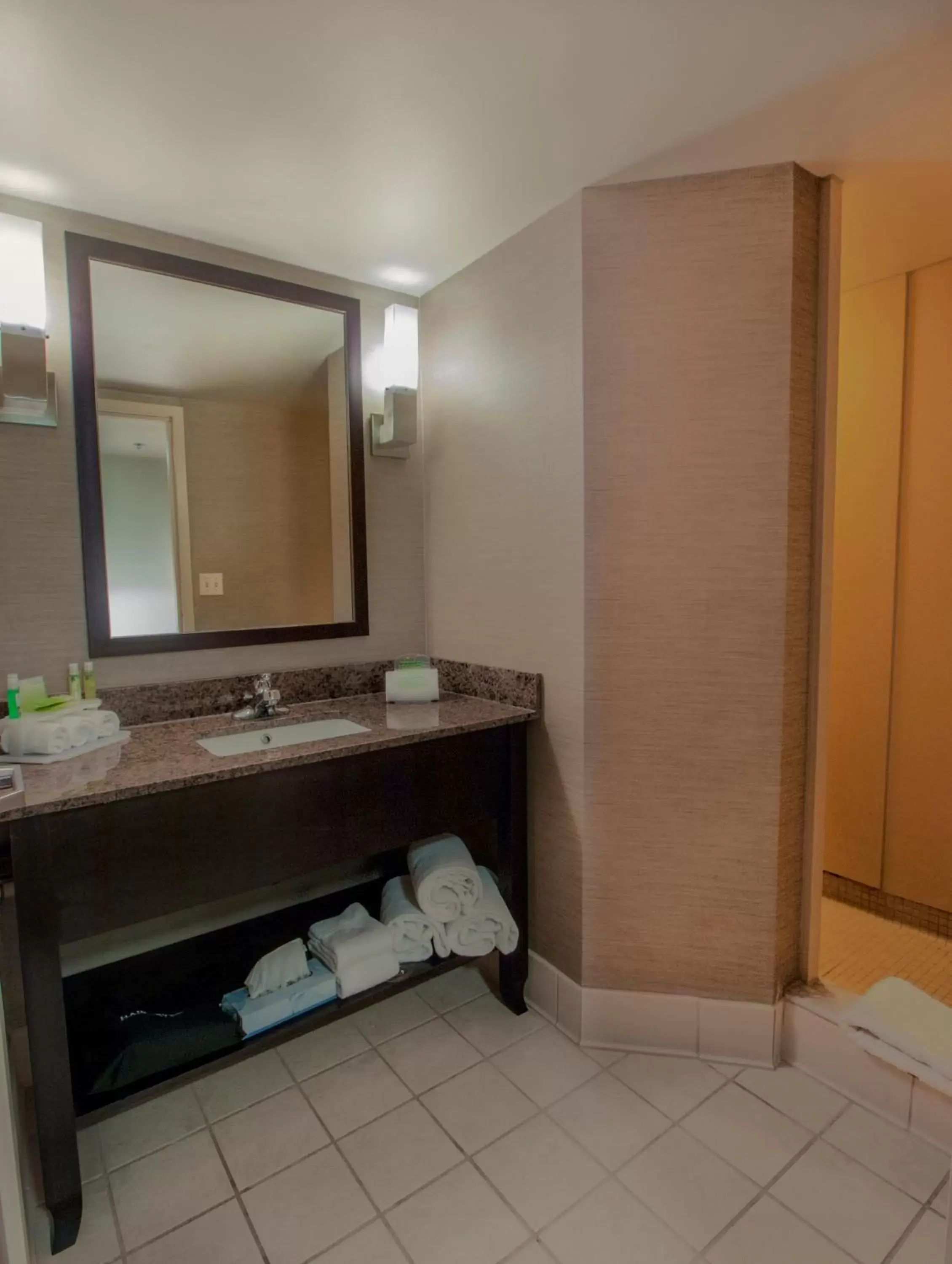 Bathroom in Holiday Inn Express & Suites Buffalo Airport, an IHG Hotel