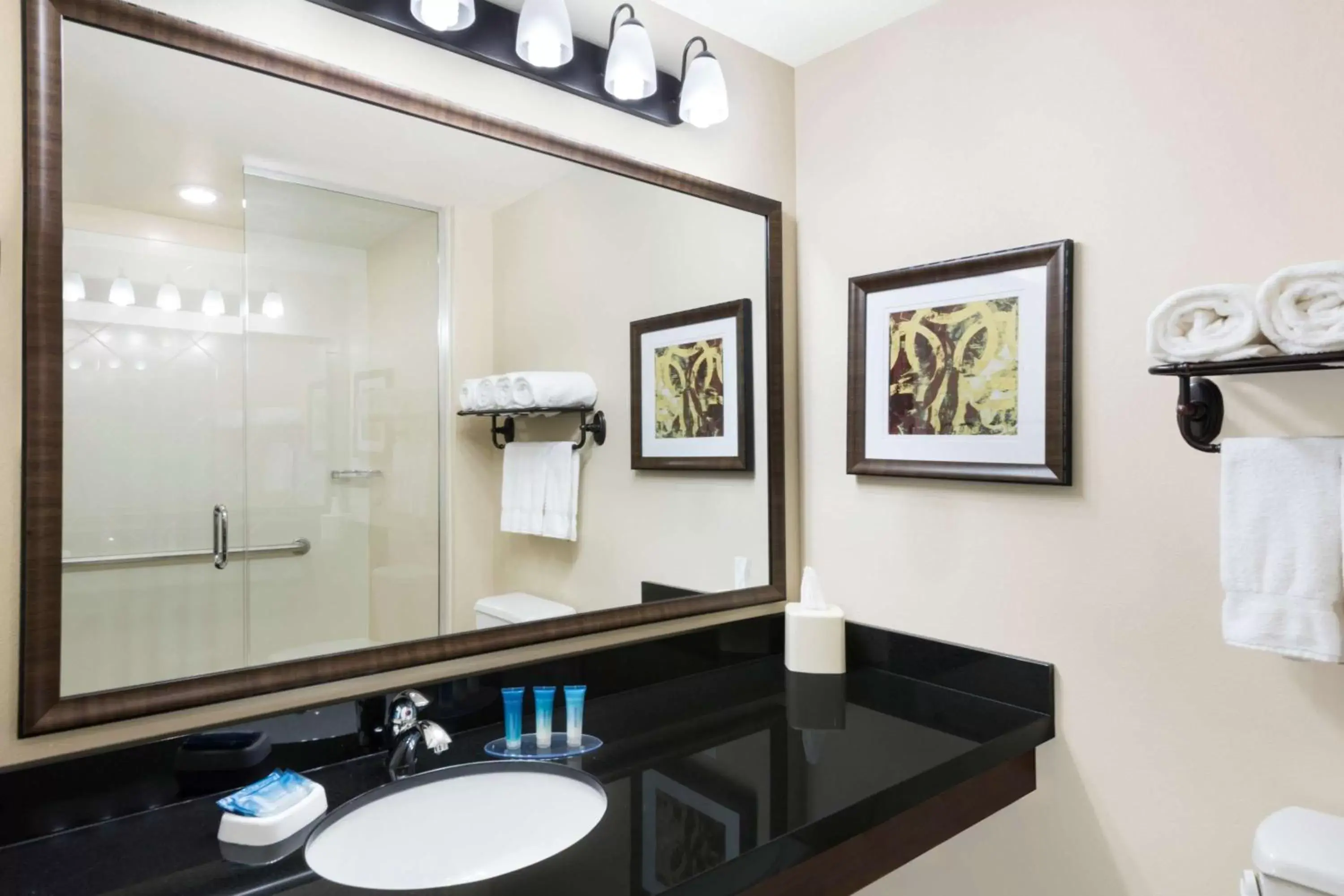 Bathroom in Best Western Plus Hudson Hotel & Suites